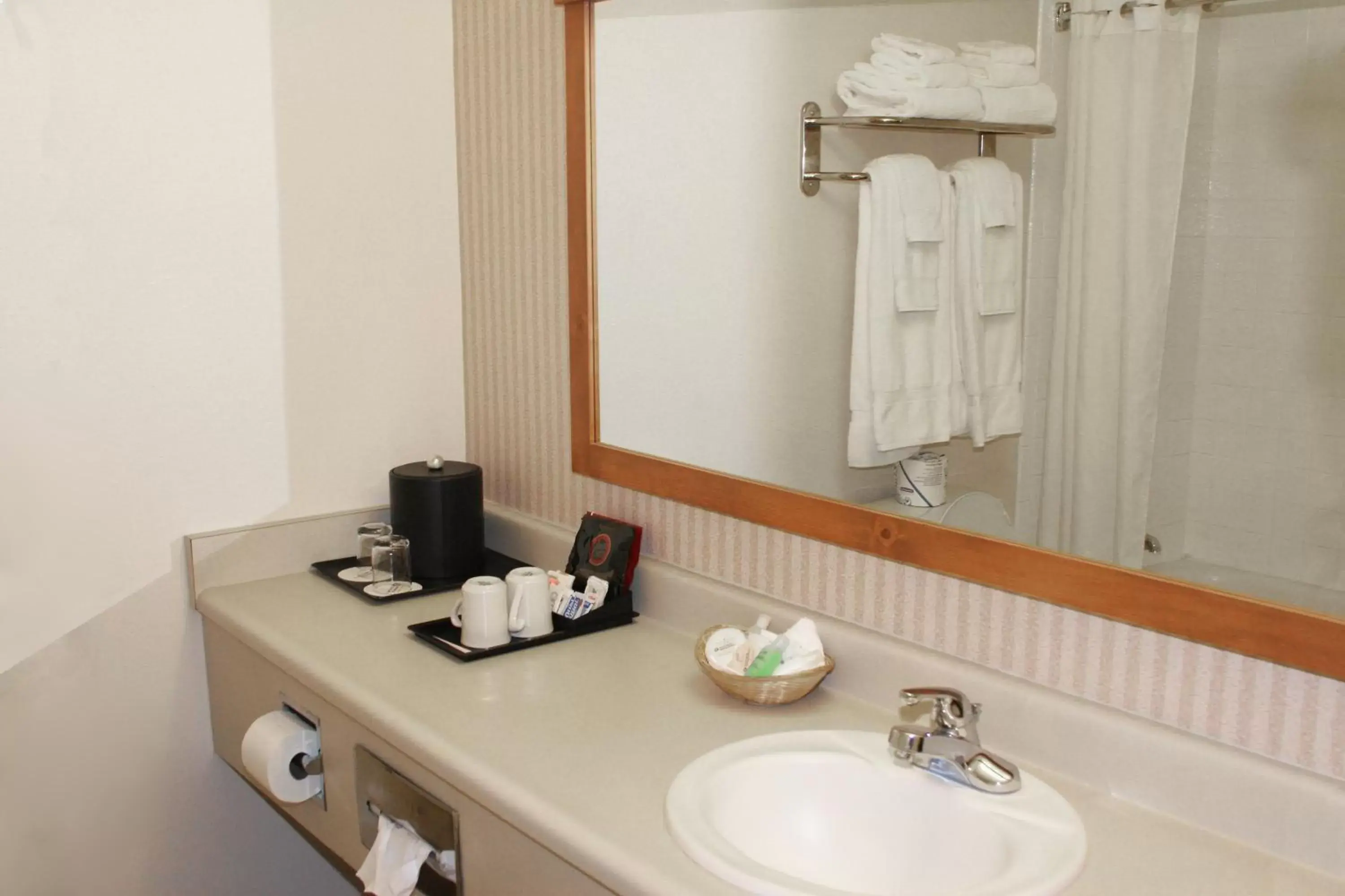 Bathroom, Coffee/Tea Facilities in Coast Inn at Lake Hood