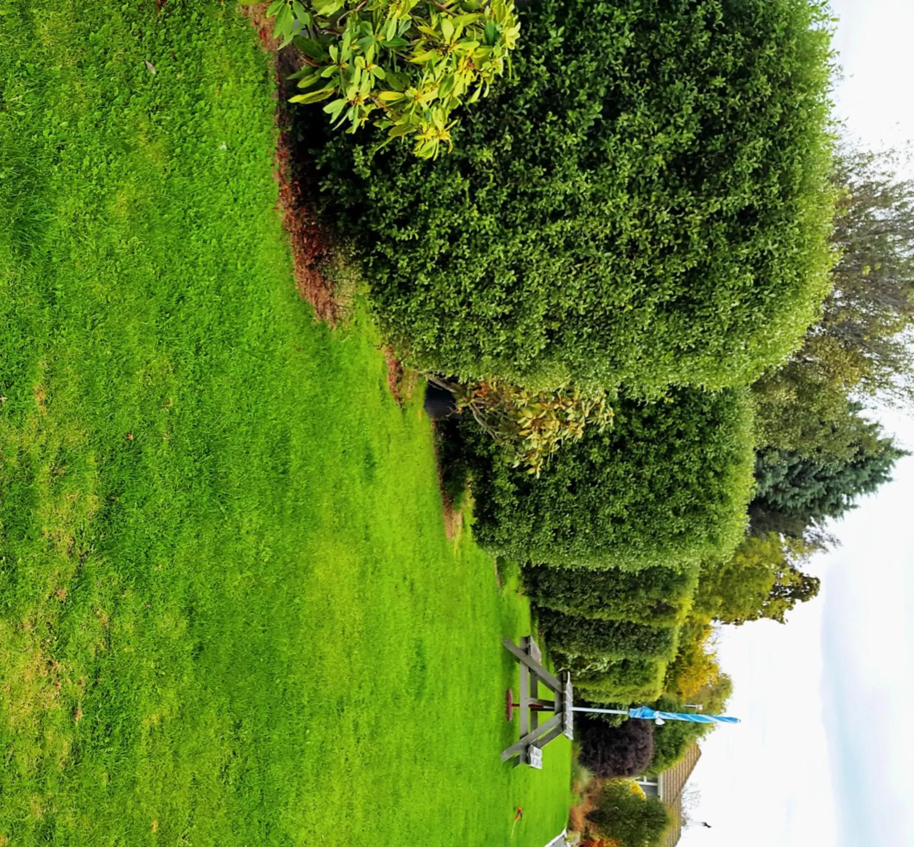 Day, Garden in Lilybrook Motel