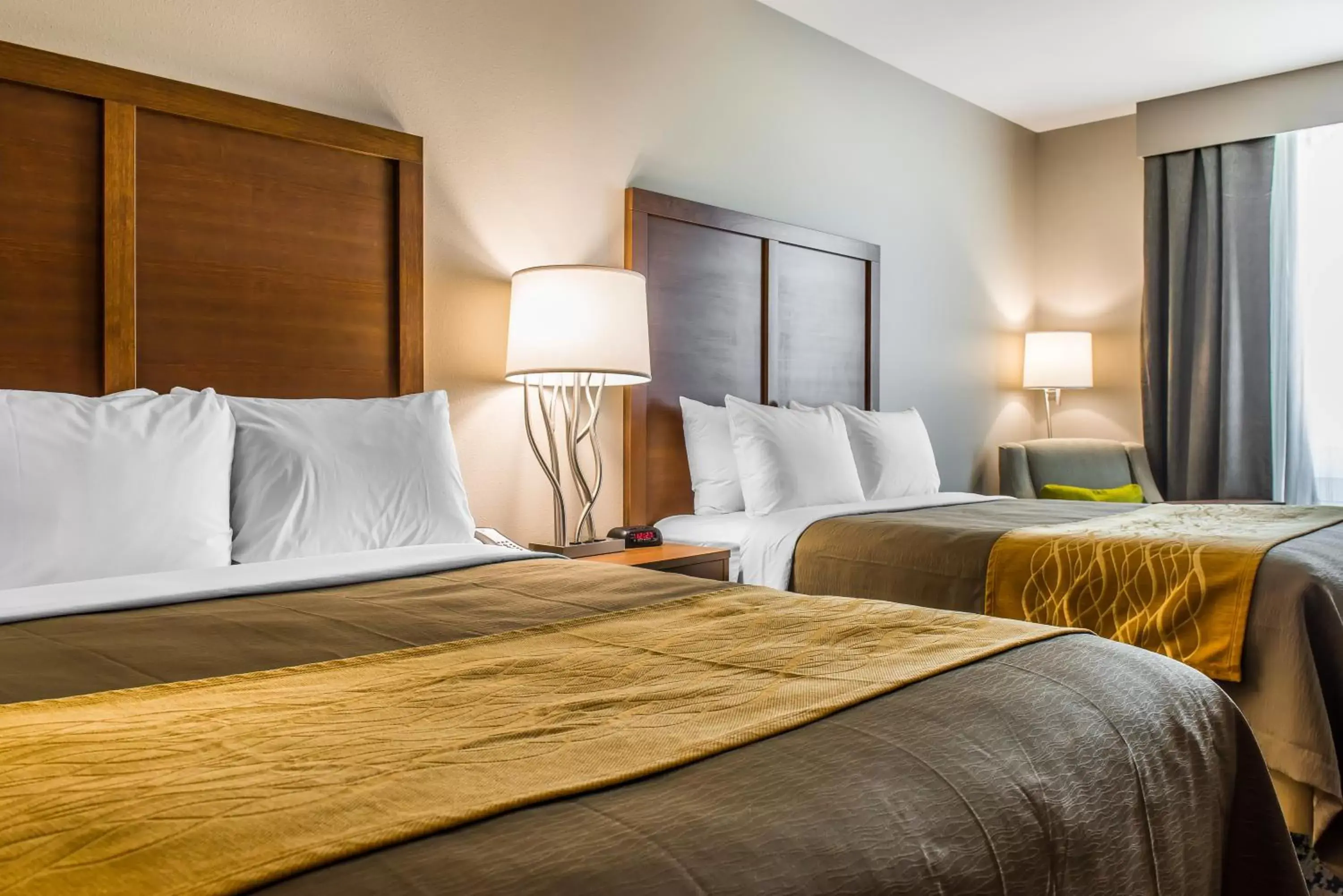 Day, Bed in Comfort Inn & Suites Valdosta