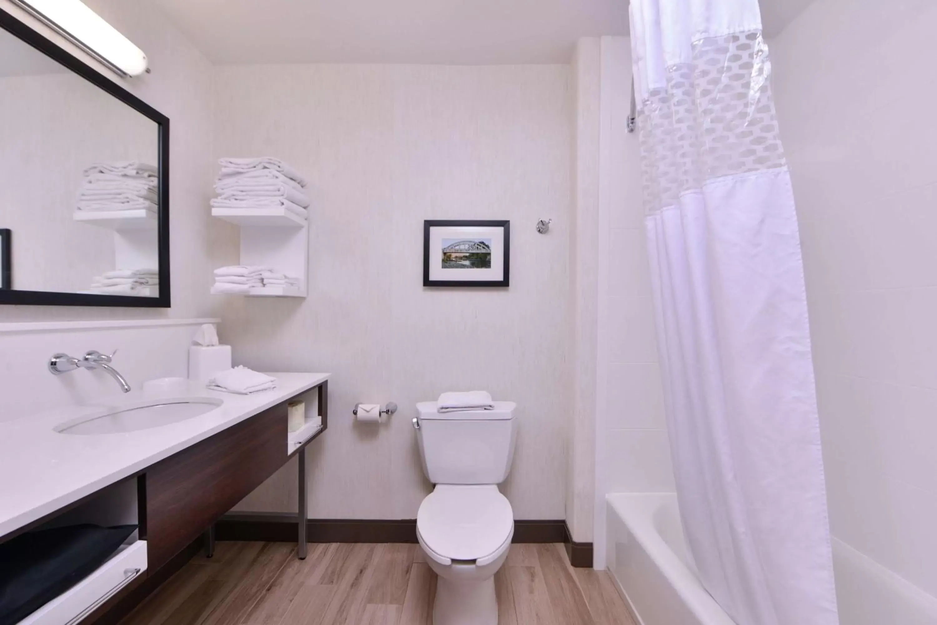 Bathroom in Hampton Inn & Suites Woodland-Sacramento Area