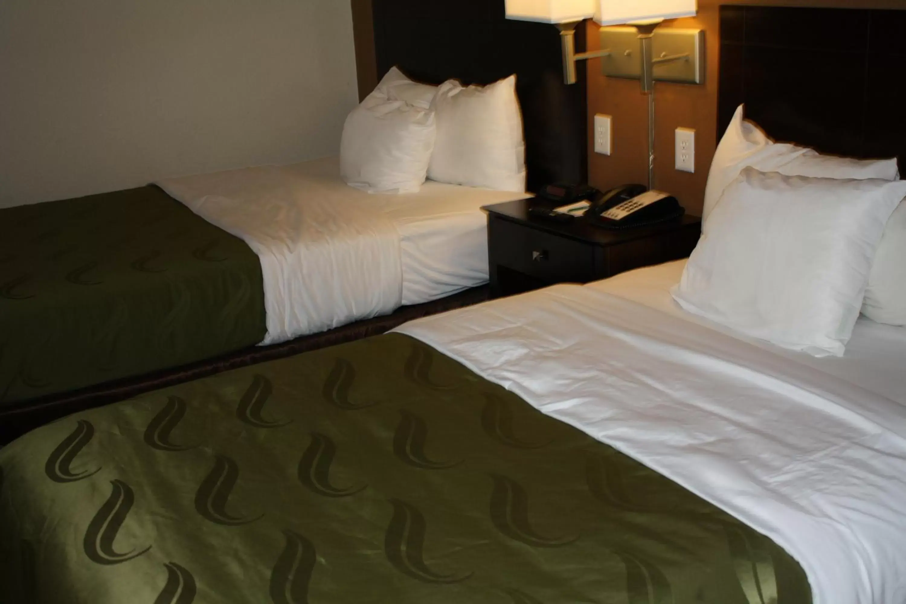 Photo of the whole room, Bed in Quality Inn & Suites Wichita Falls I-44