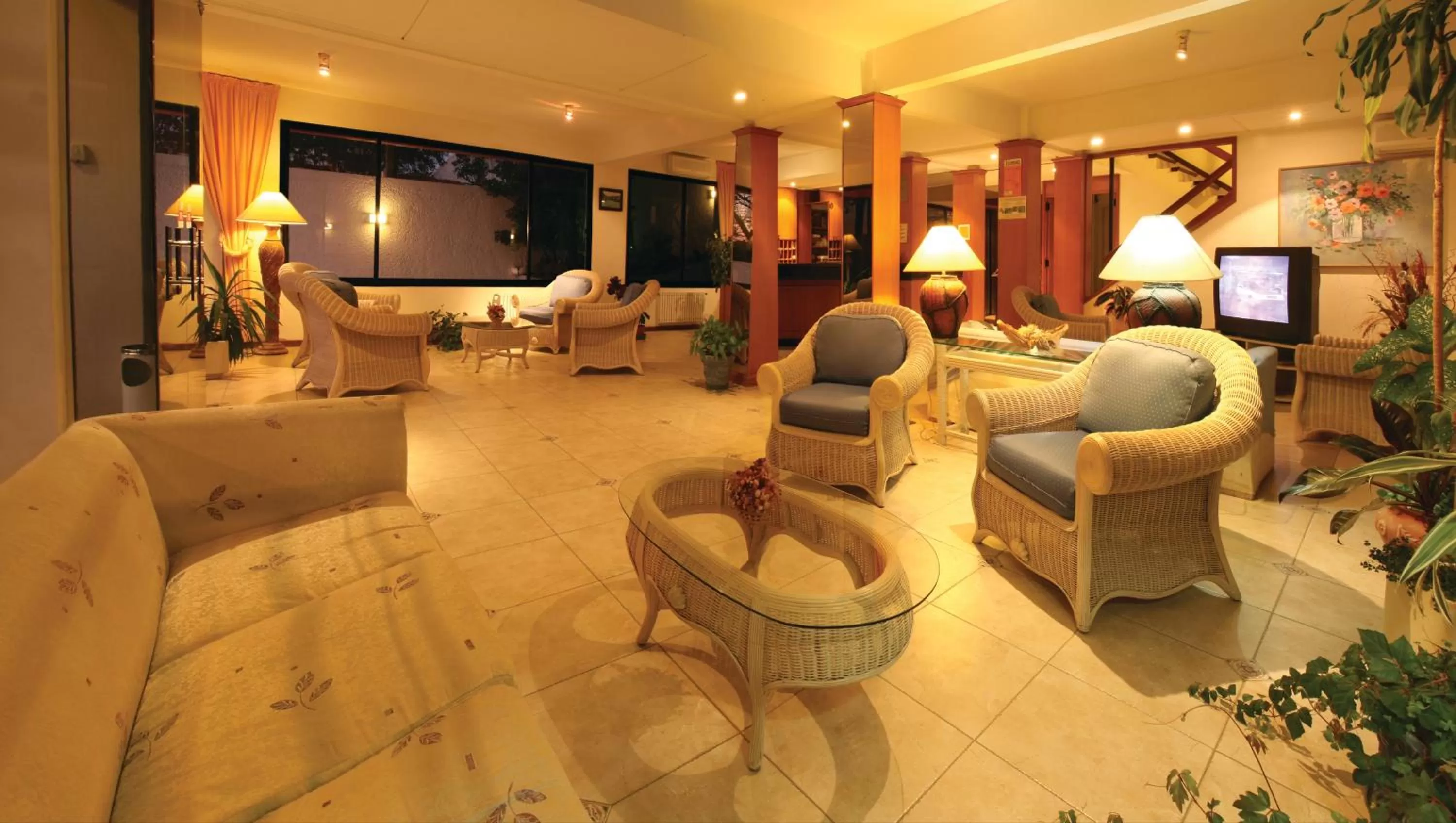 Communal lounge/ TV room in Hotel Ricadi