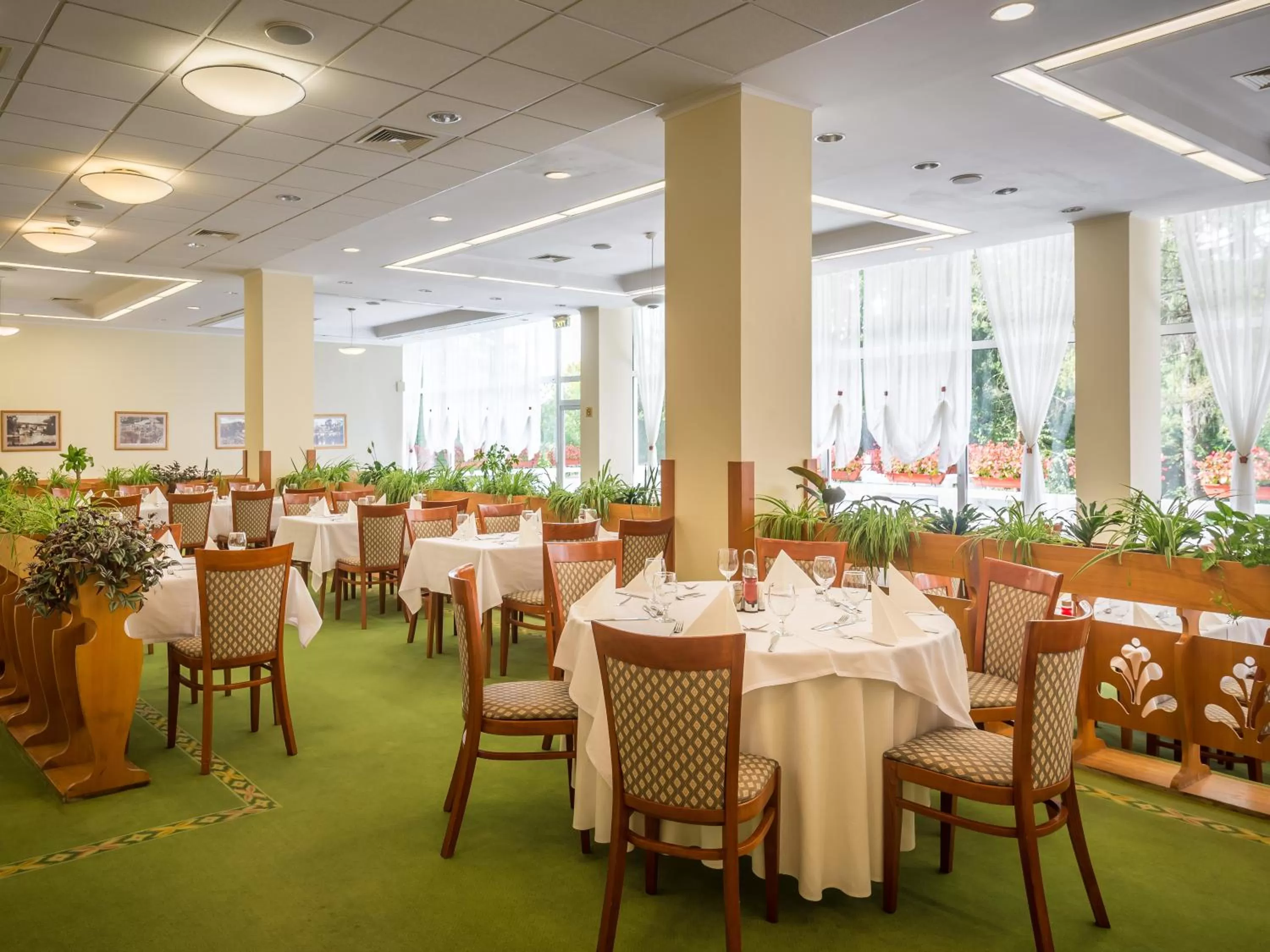 Restaurant/places to eat in Ensana Sovata