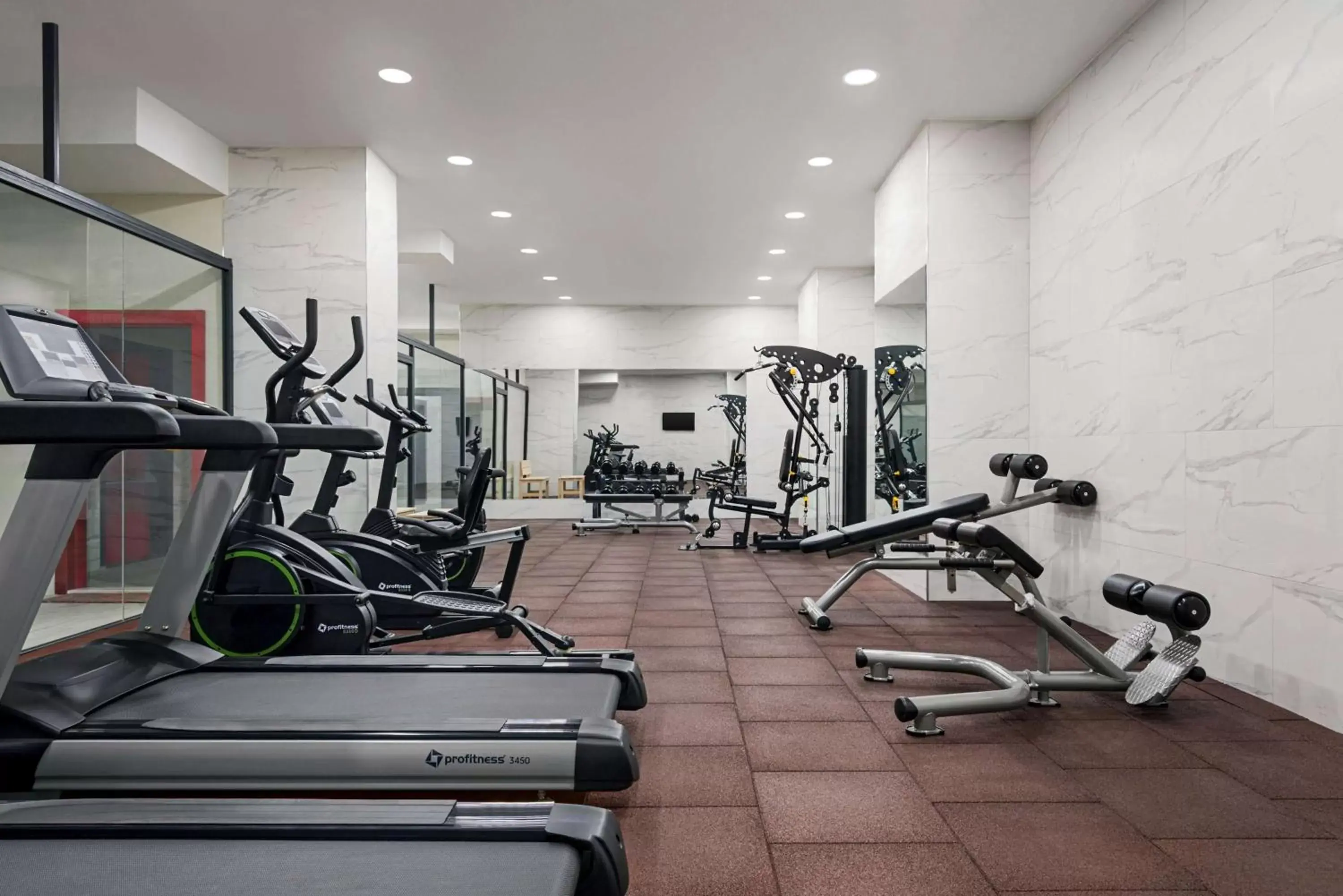 Fitness centre/facilities, Fitness Center/Facilities in Ramada Plaza by Wyndham Ordu