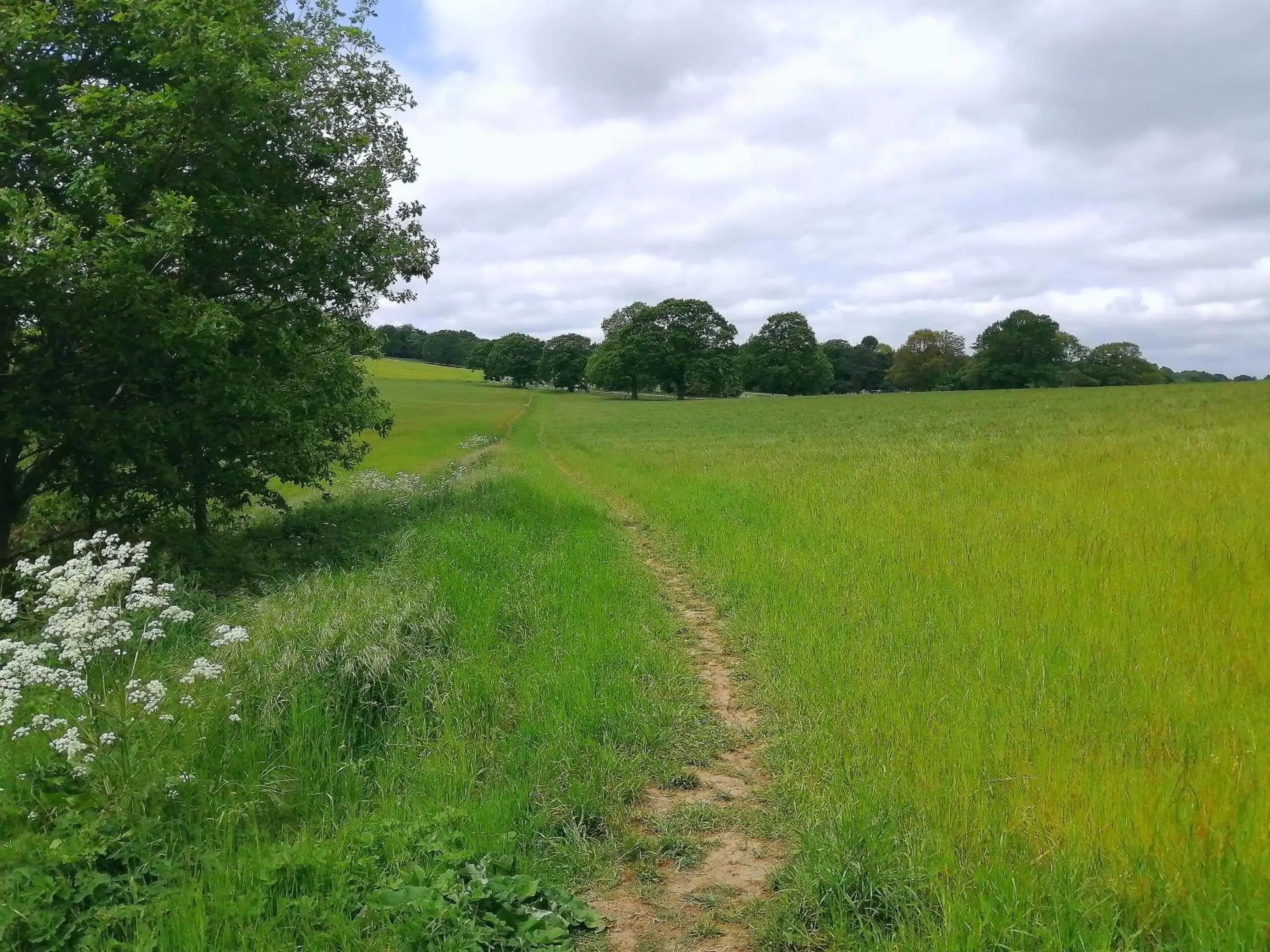 Natural Landscape in Wortley Hall Sheffield