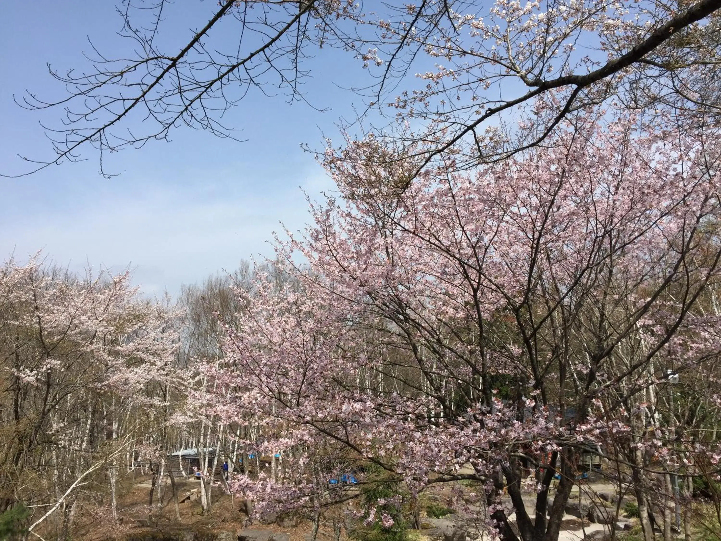 BBQ facilities in Hotel Tagawa