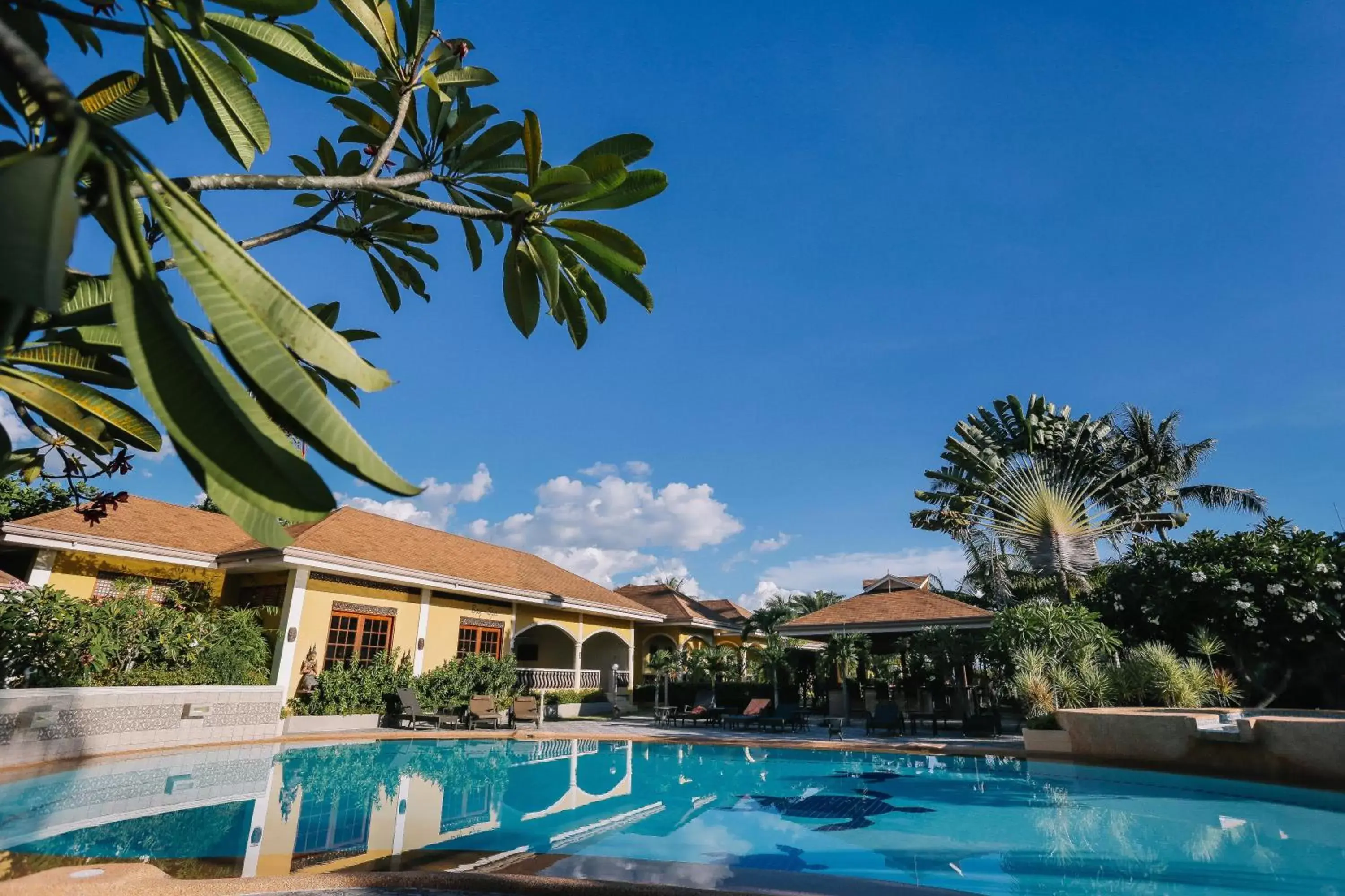 Swimming Pool in Turtle Bay Dive Resort