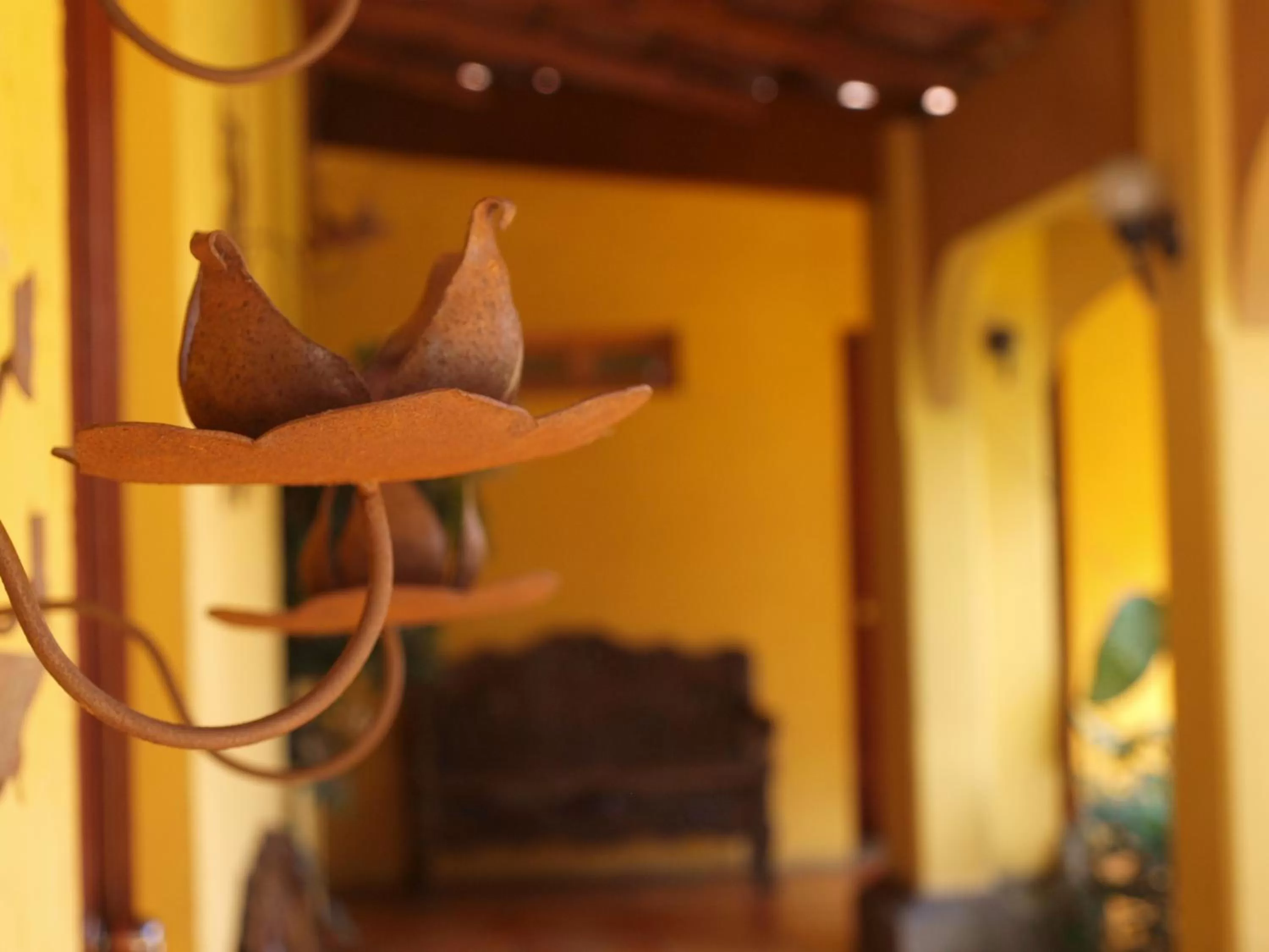 Hotel Mediterraneo Plaza