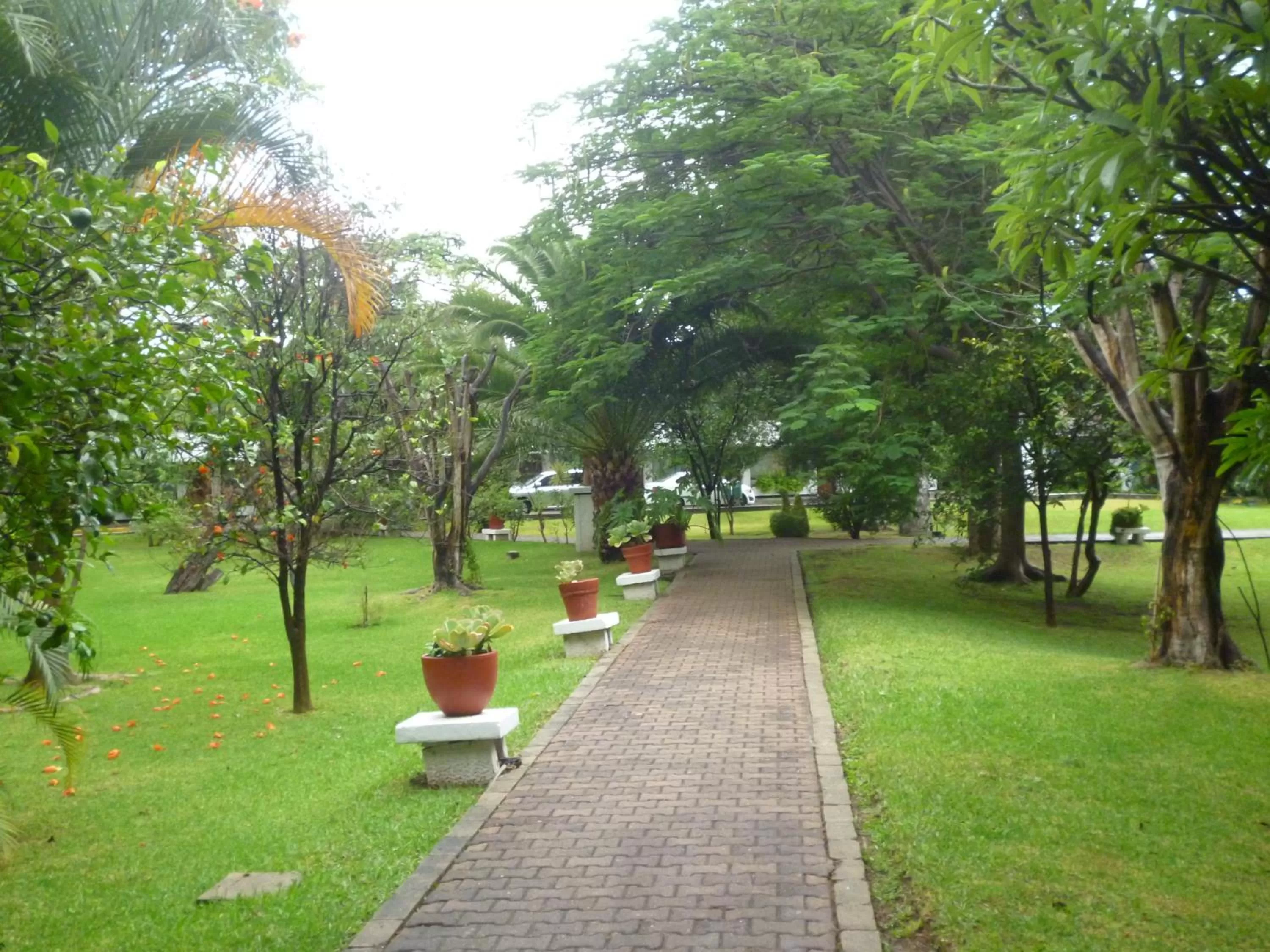 Garden in Mision De Los Angeles