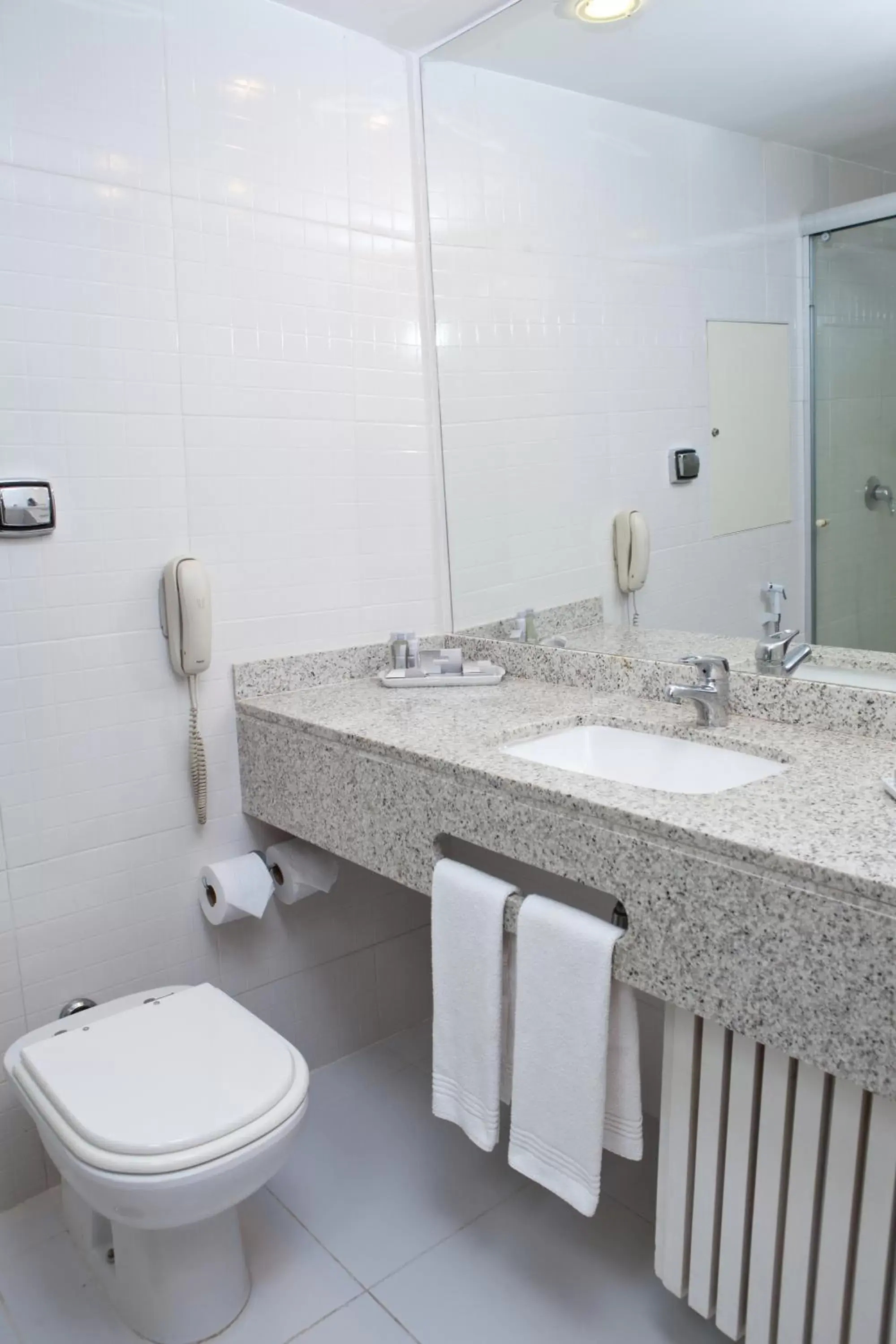 Bathroom in Rio Othon Palace