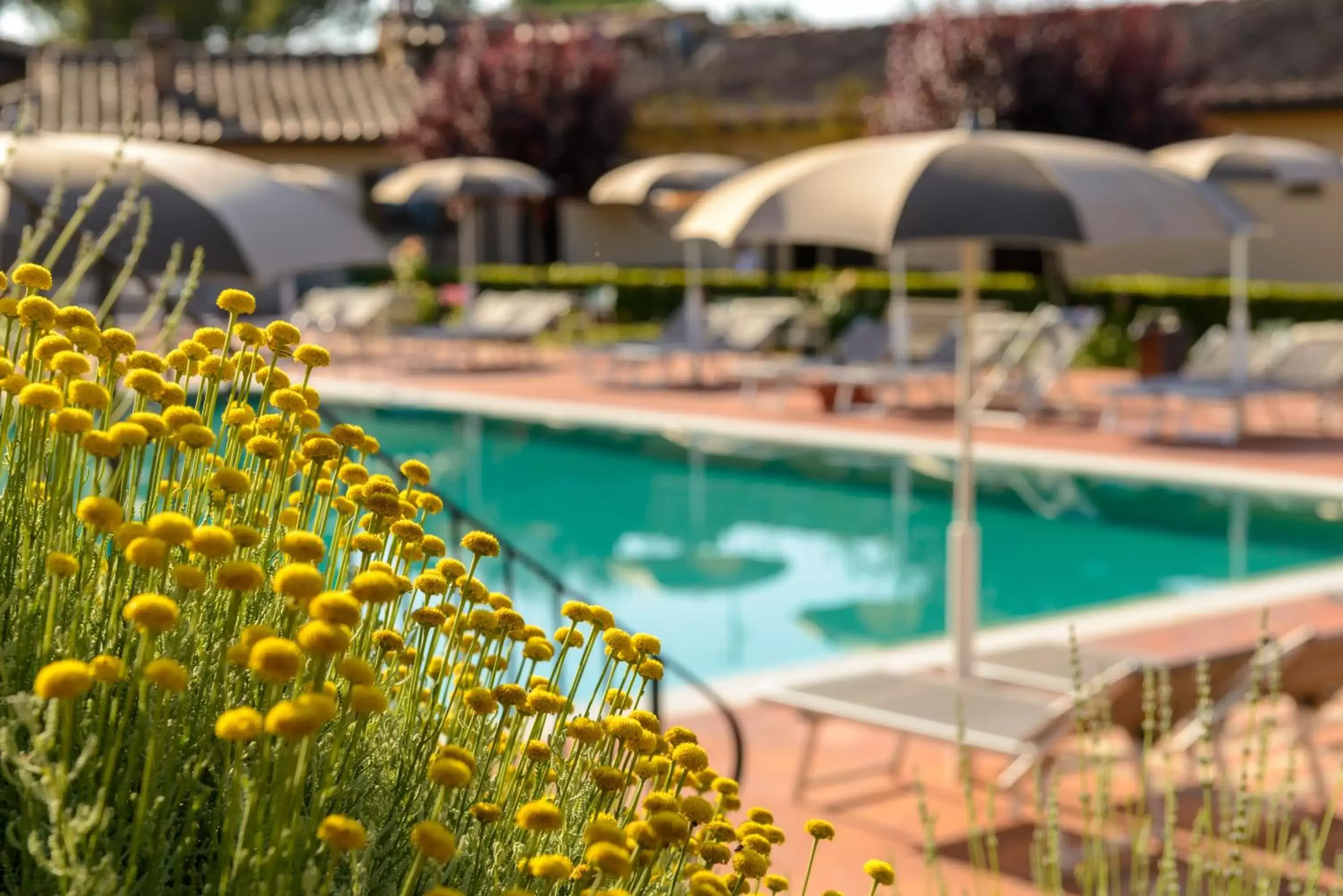 Pool view, Swimming Pool in Hotel Sovestro