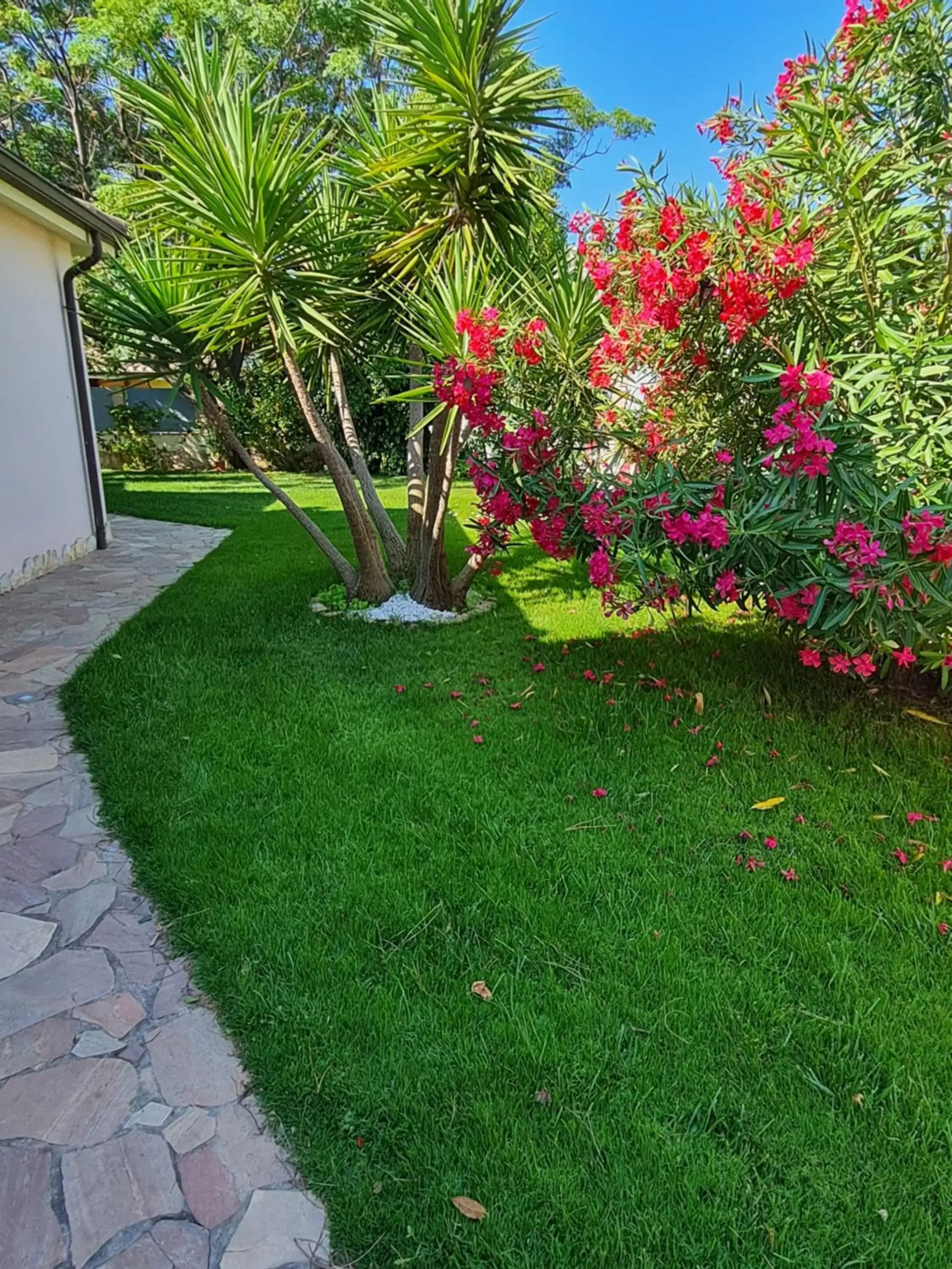 Garden in Gentarrubia