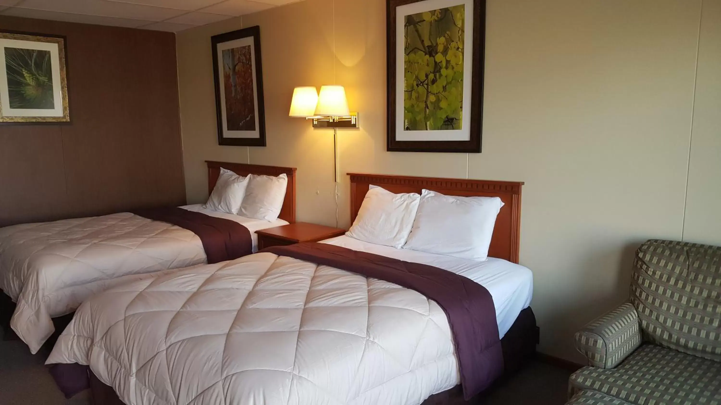 Bed in Budget Host Platte Valley Inn