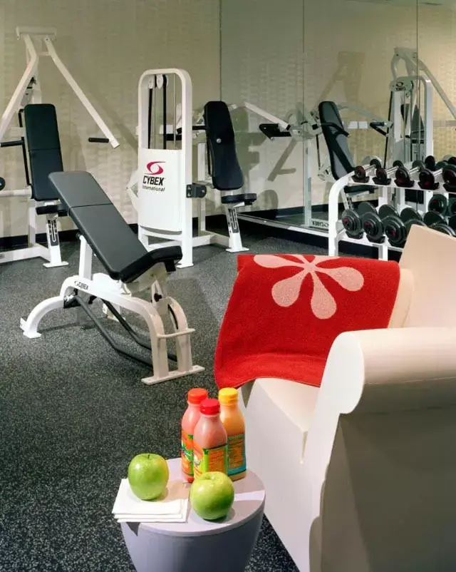 Fitness centre/facilities, Fitness Center/Facilities in Westminster Hotel