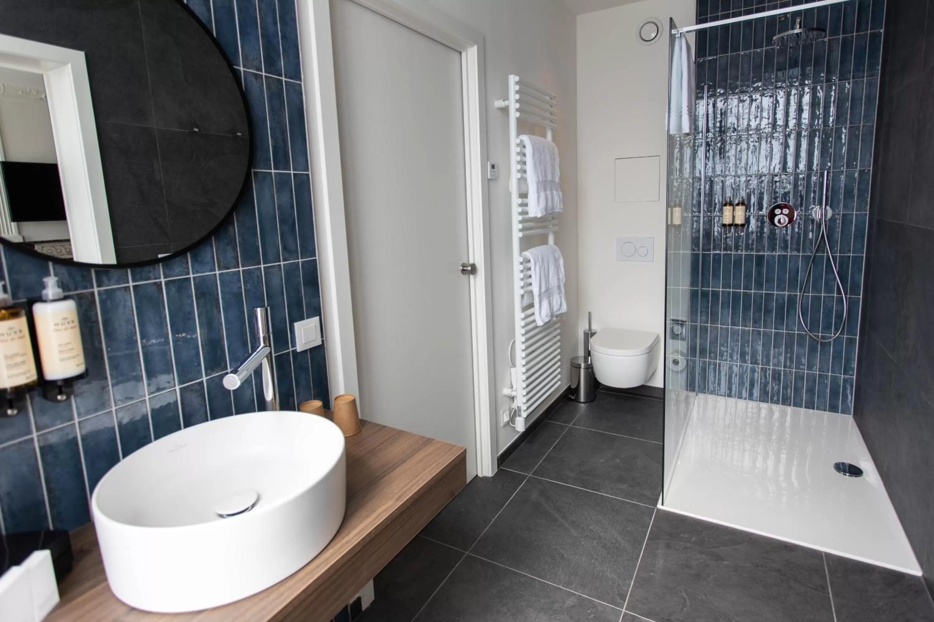 Bathroom in Petit-Roannay