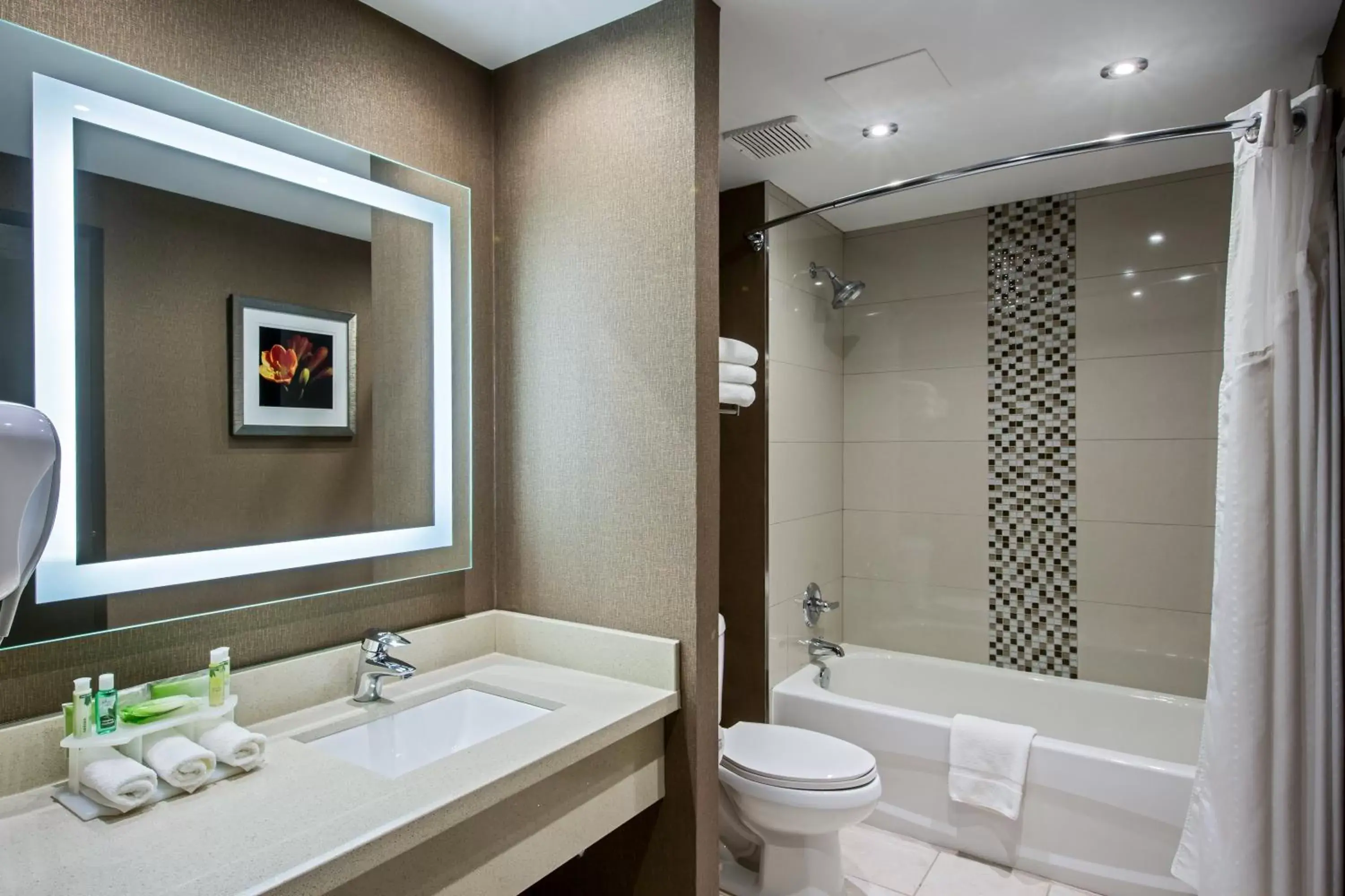 Photo of the whole room, Bathroom in Holiday Inn Express & Suites Regina Downtown, an IHG Hotel