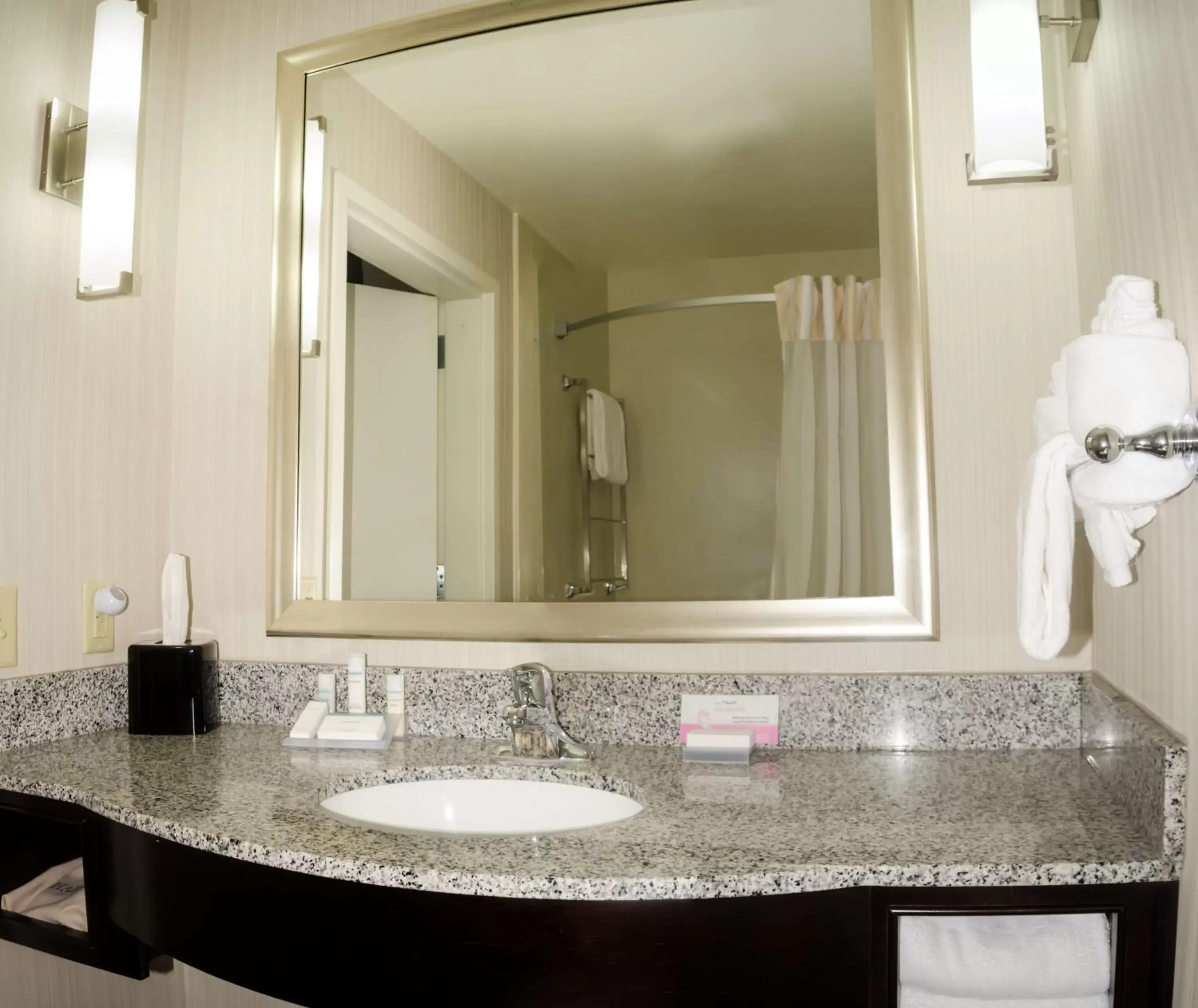 Bathroom in Hilton Garden Inn Benton Harbor