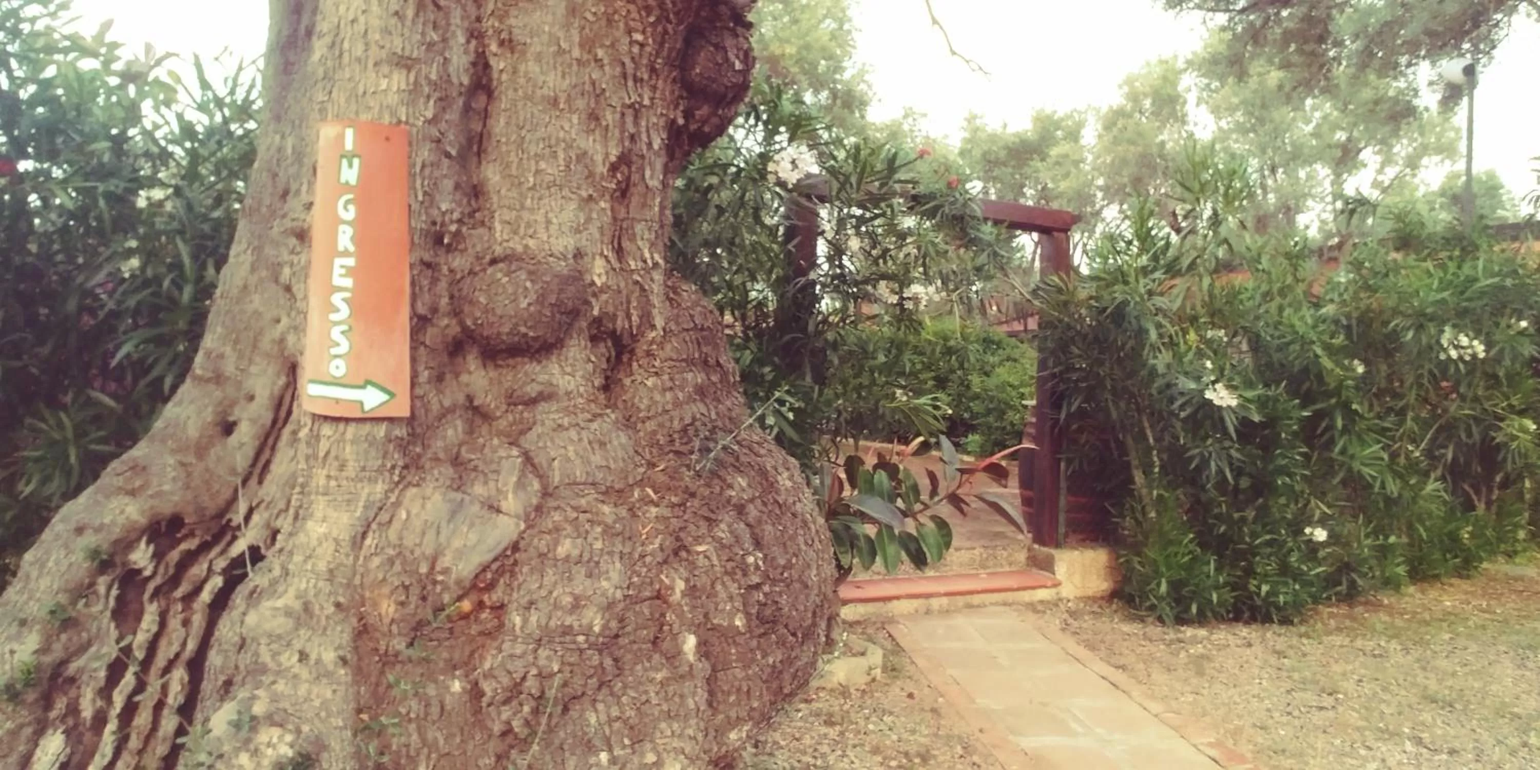 Facade/entrance in La Piana degli Ulivi