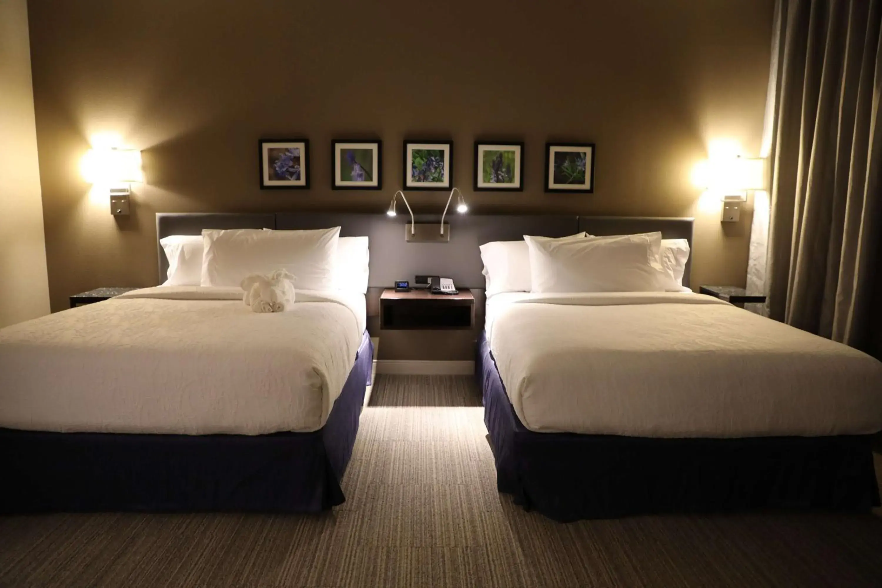 Bed in Hilton Garden Inn Austin Airport