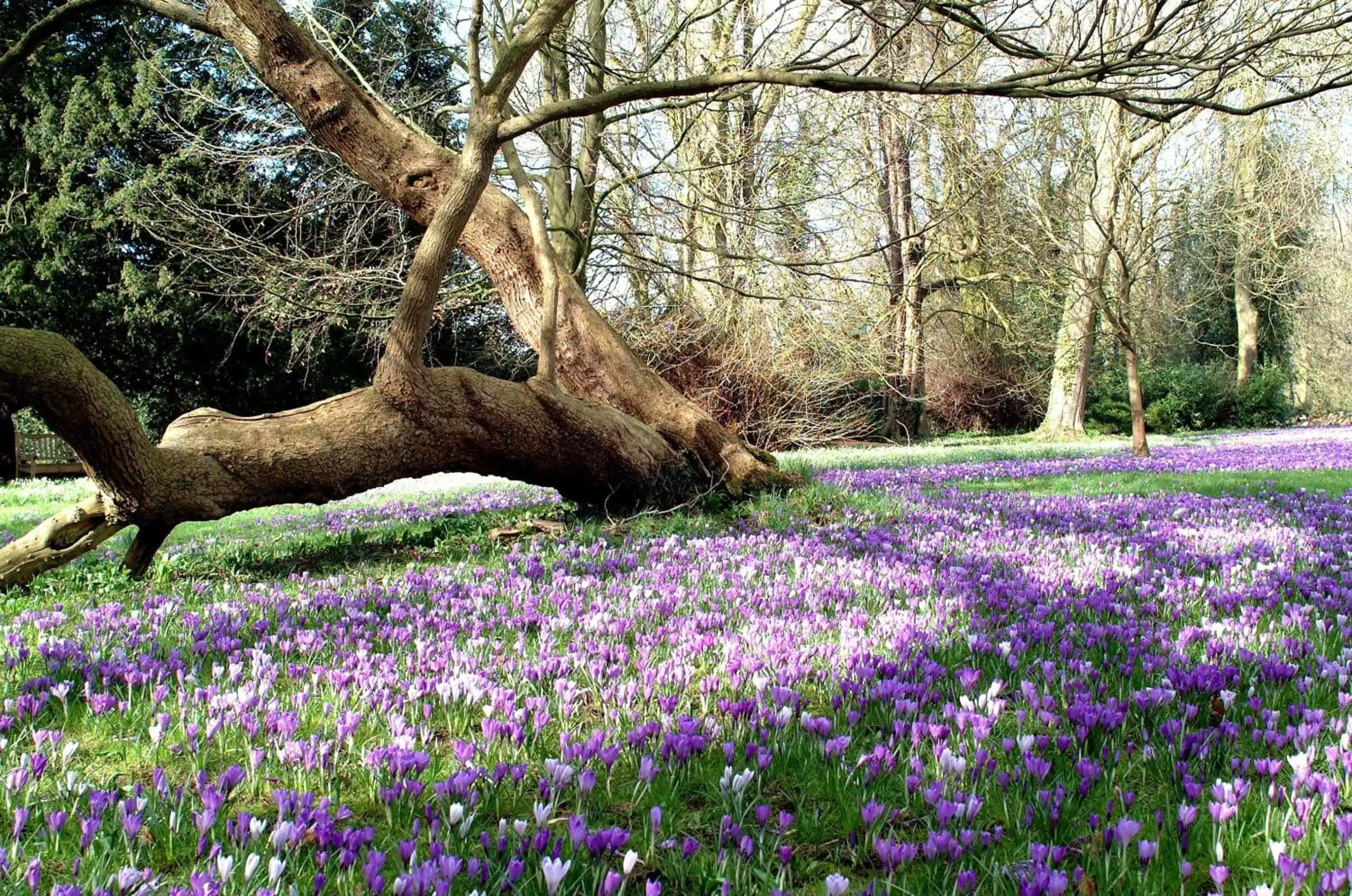 Natural landscape in Three Ways House Hotel