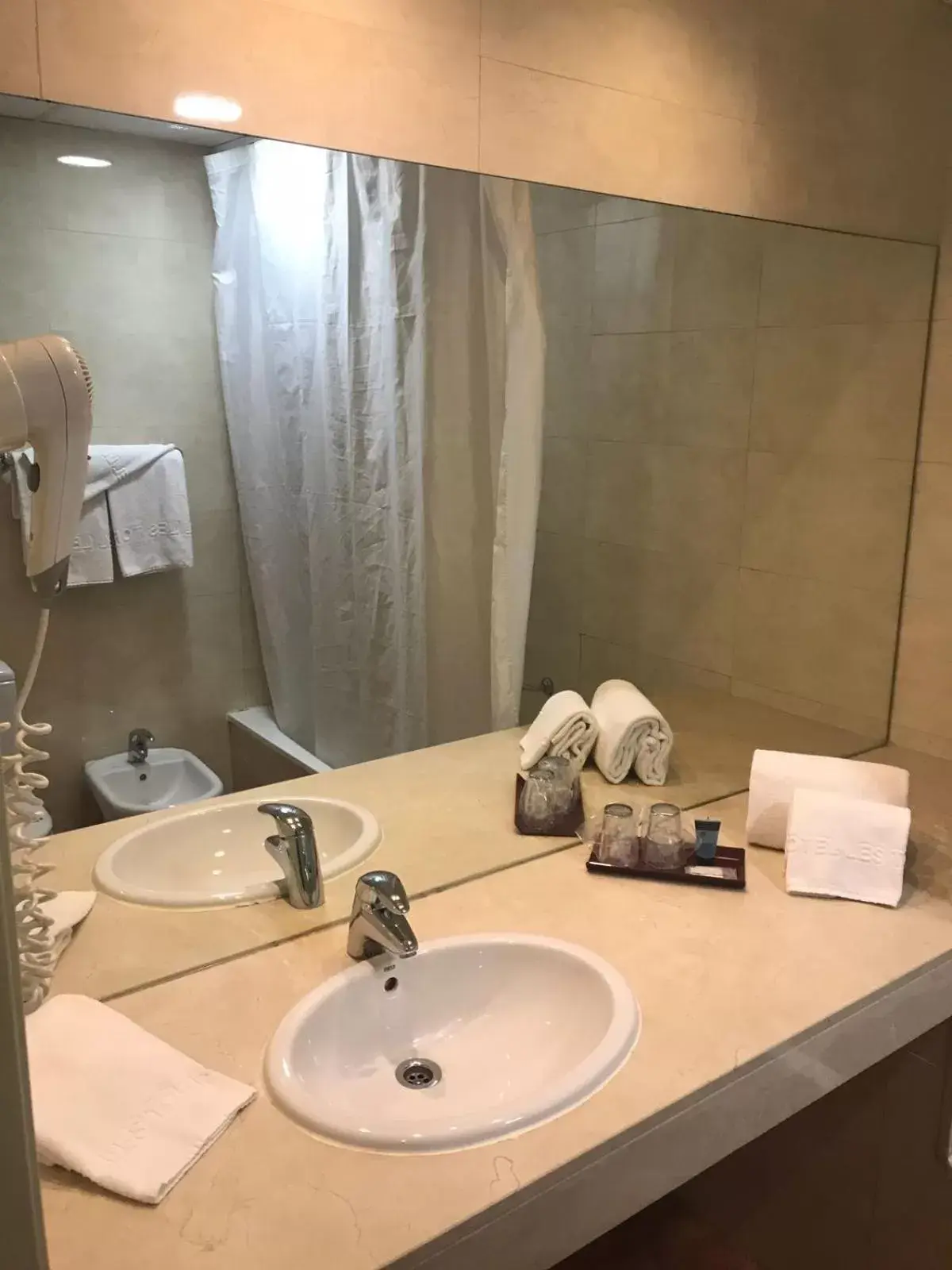 Double Room (1 Adult) in Hotel Les Torres Double Room (1 Adult) in Hotel Les Torres