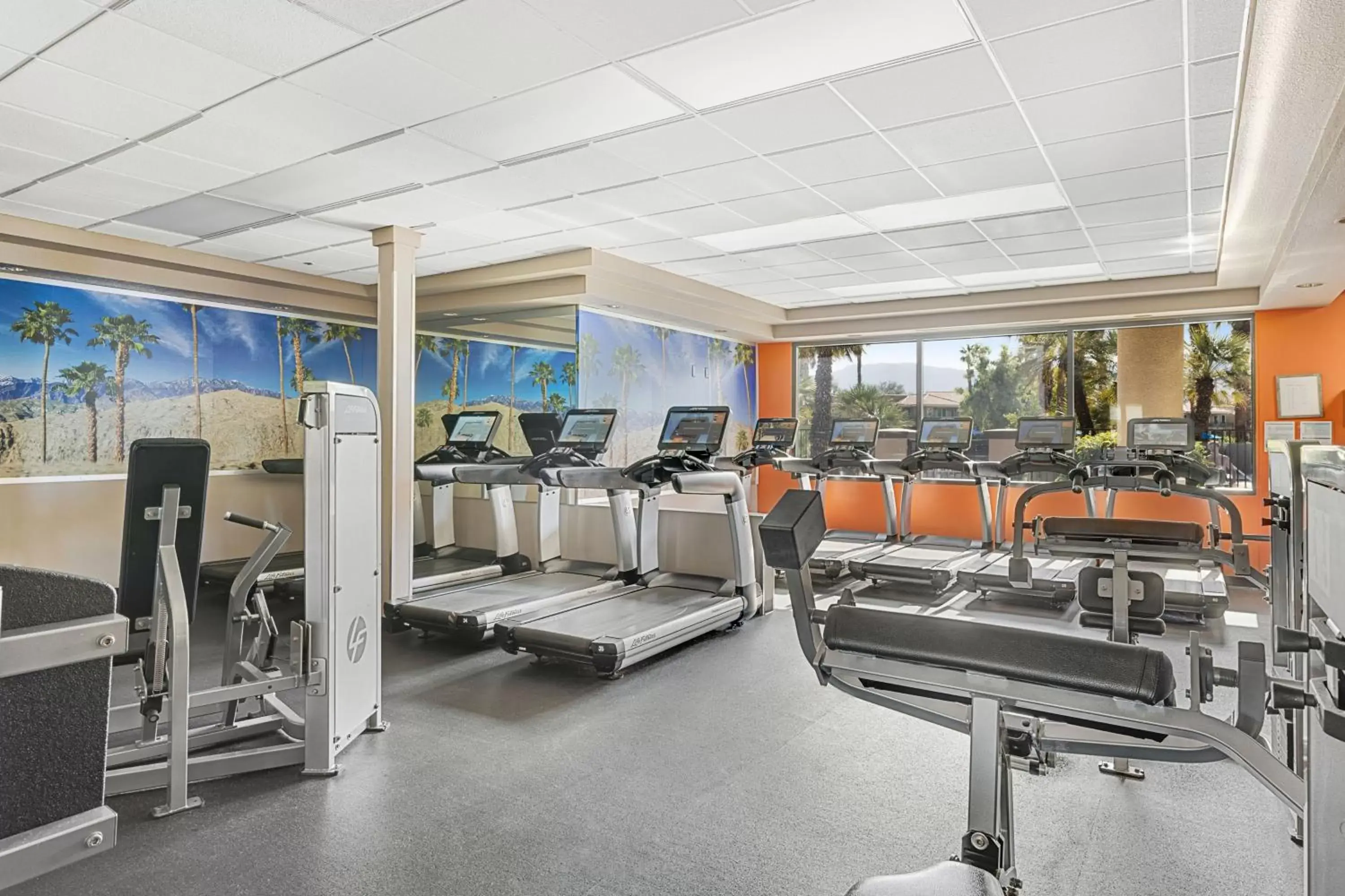 Fitness centre/facilities, Fitness Center/Facilities in Marriott's Desert Springs Villas I