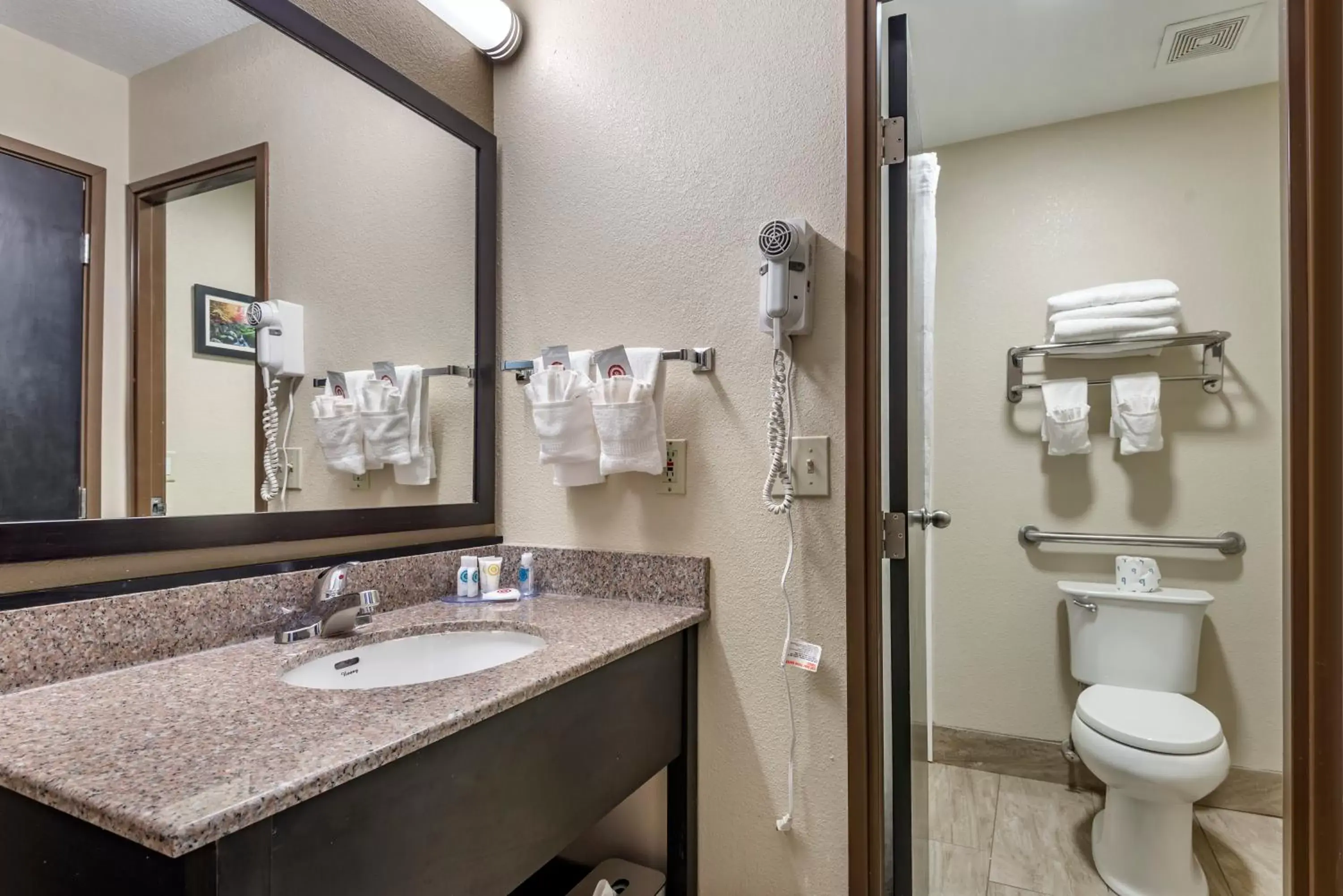 Bathroom in Comfort Inn Asheville East-Blue Ridge Pkwy Access