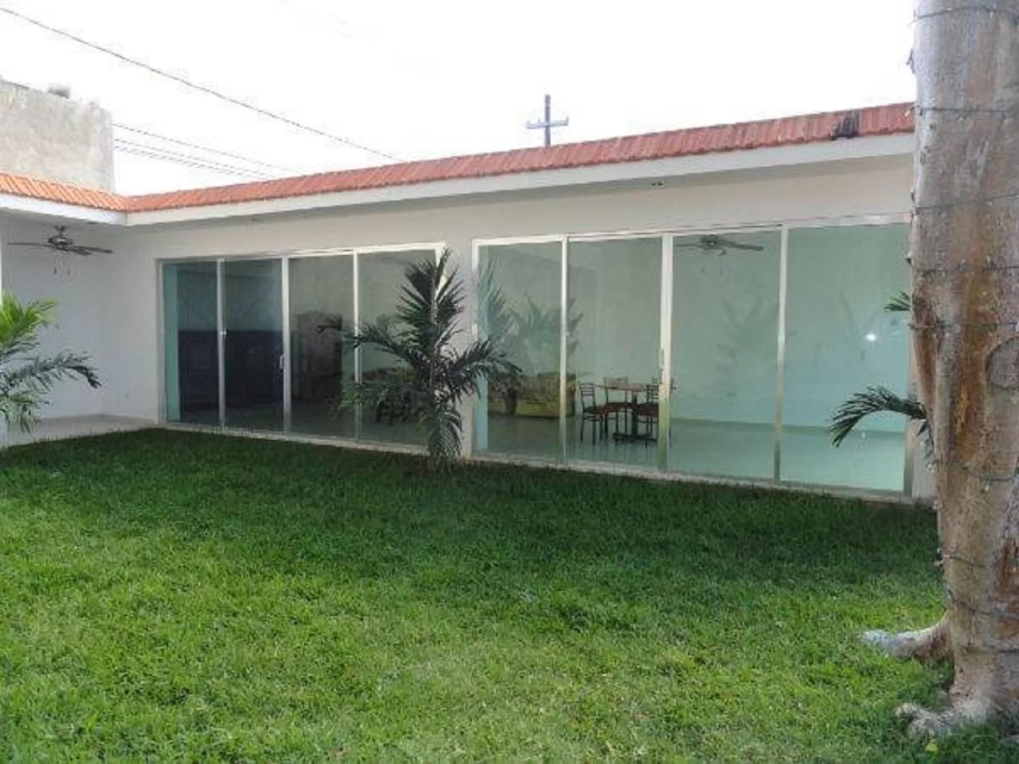 Garden in Hotel Las Dalias Inn