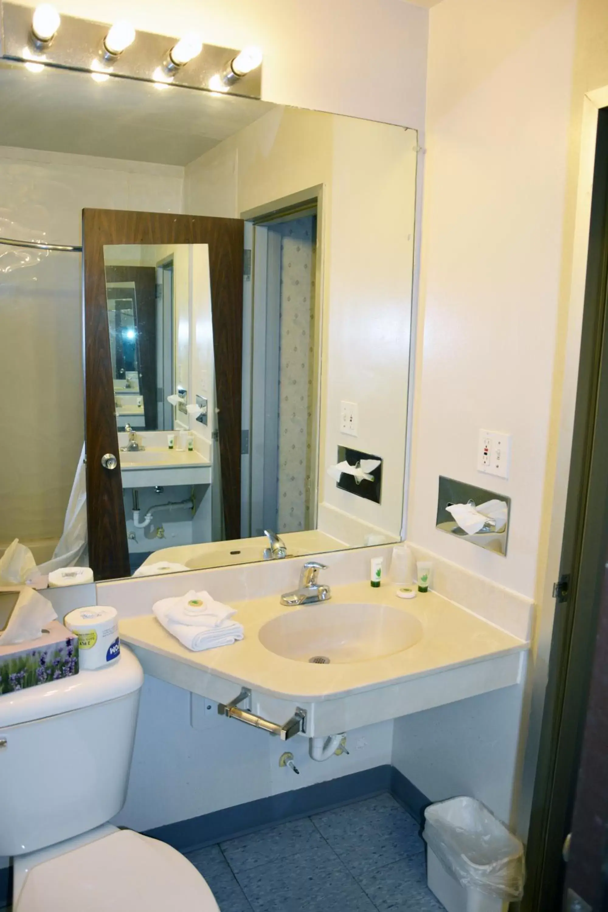 Toilet, Bathroom in Travelodge by Wyndham Milwaukee