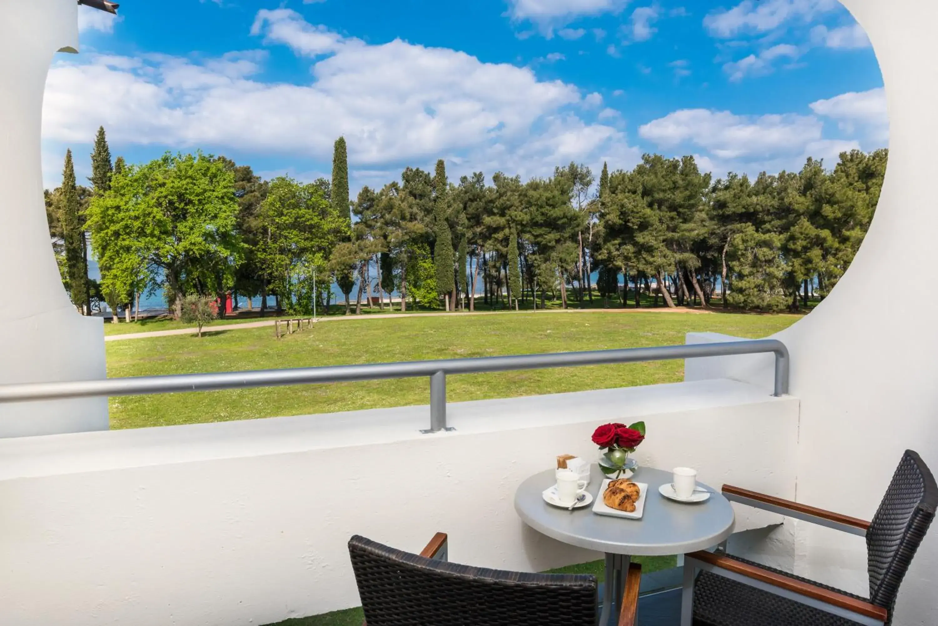 Balcony/Terrace in Hotel Melia Coral for Plava Laguna