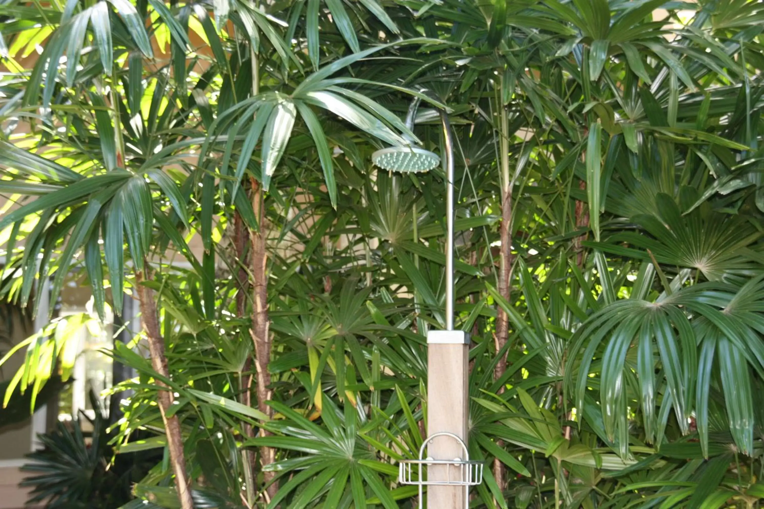 Shower in Maui Beach House B & B