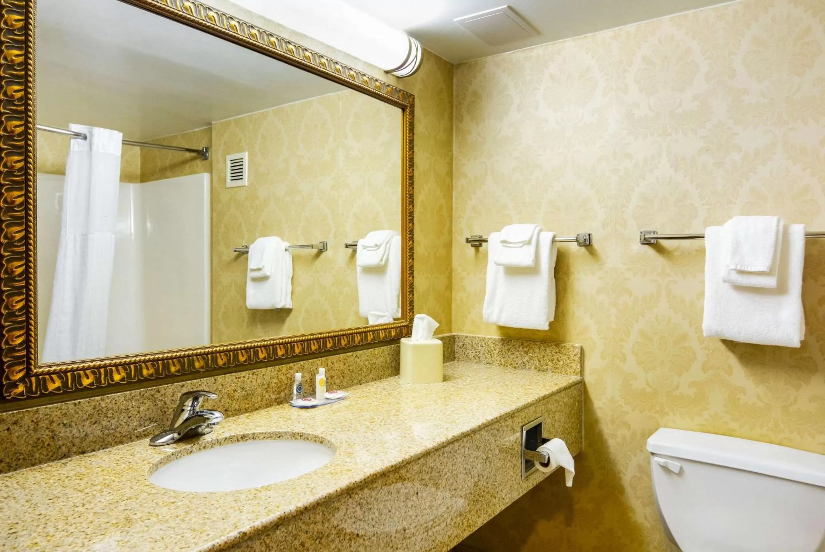 Bathroom in Comfort Inn Woodstock Shenandoah