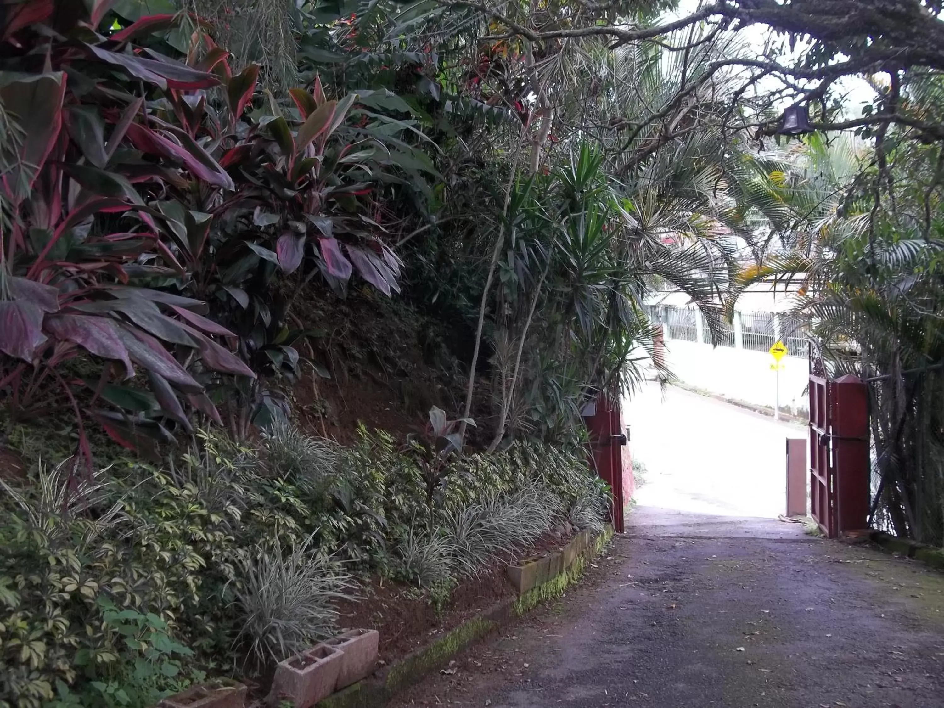 Facade/entrance in Villa Pacande Bed and FreeBreakfast