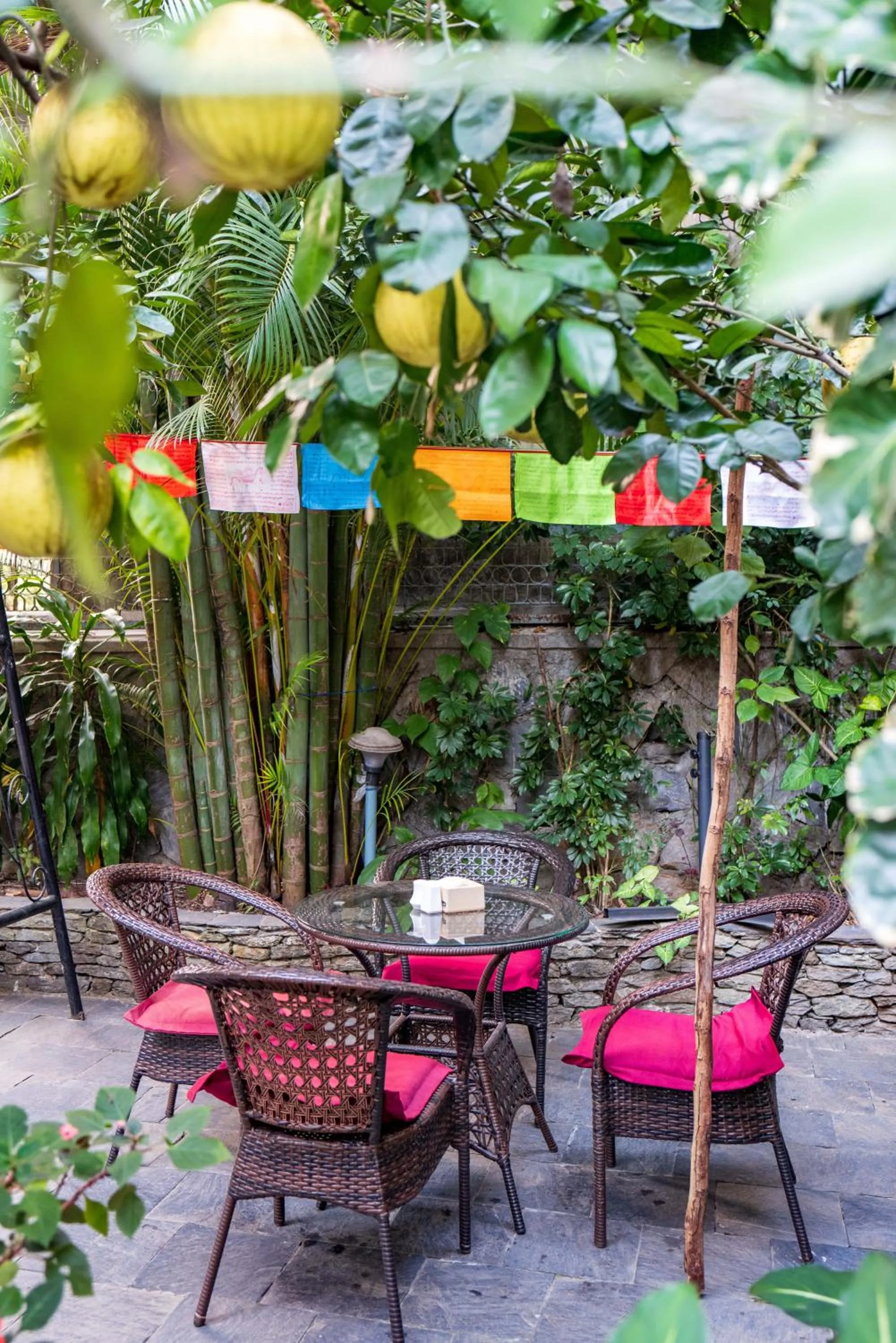 Garden in Hotel Silver Oaks Inn