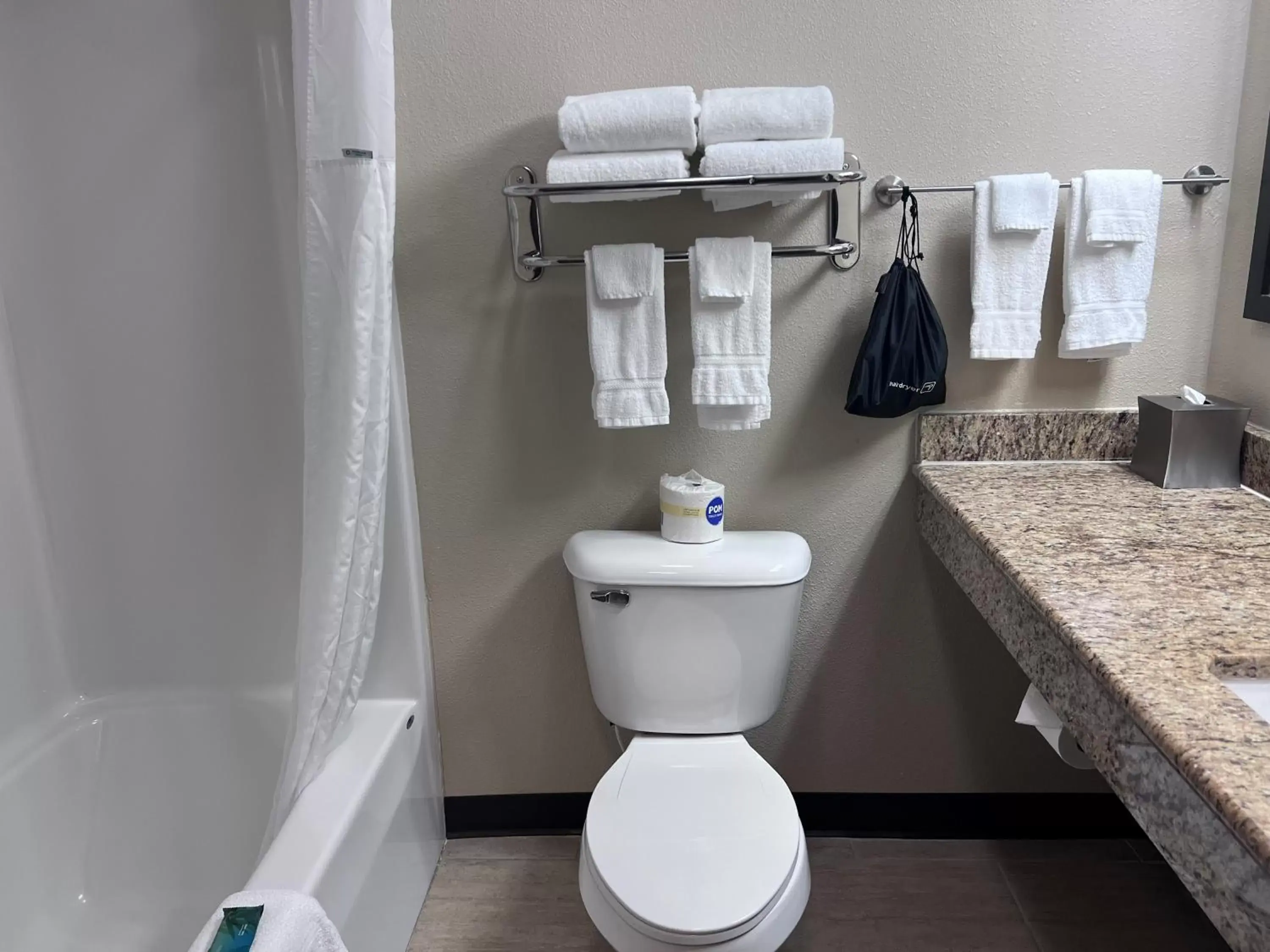 Toilet, Bathroom in Cobblestone Inn & Suites - Fort Dodge