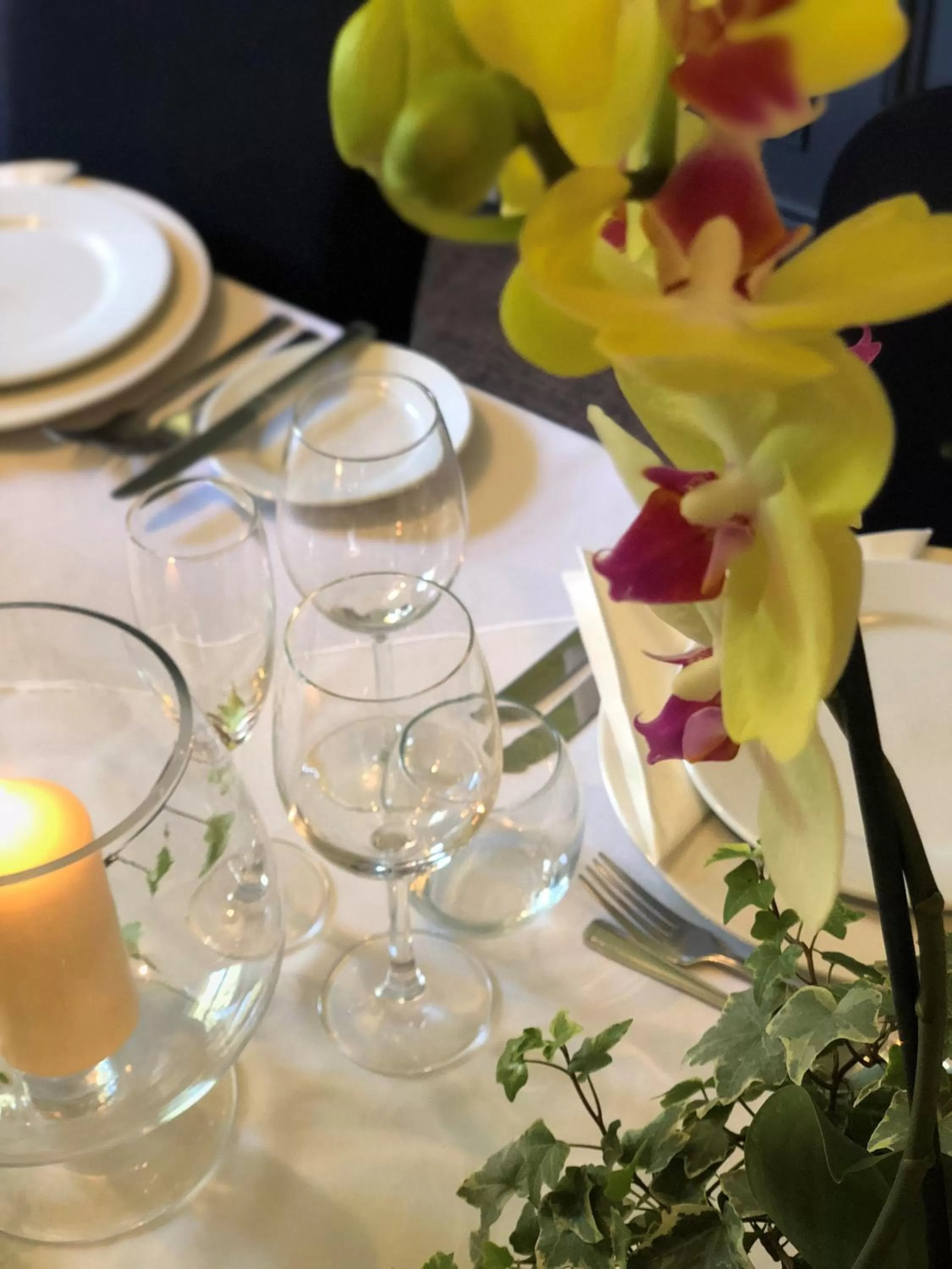 Restaurant/places to eat in Dragonfly Hotel King's Lynn