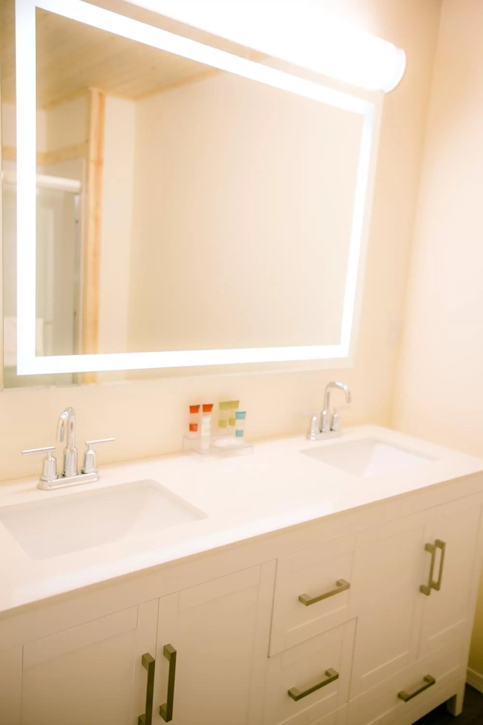 Bathroom in Crystal Springs Motel