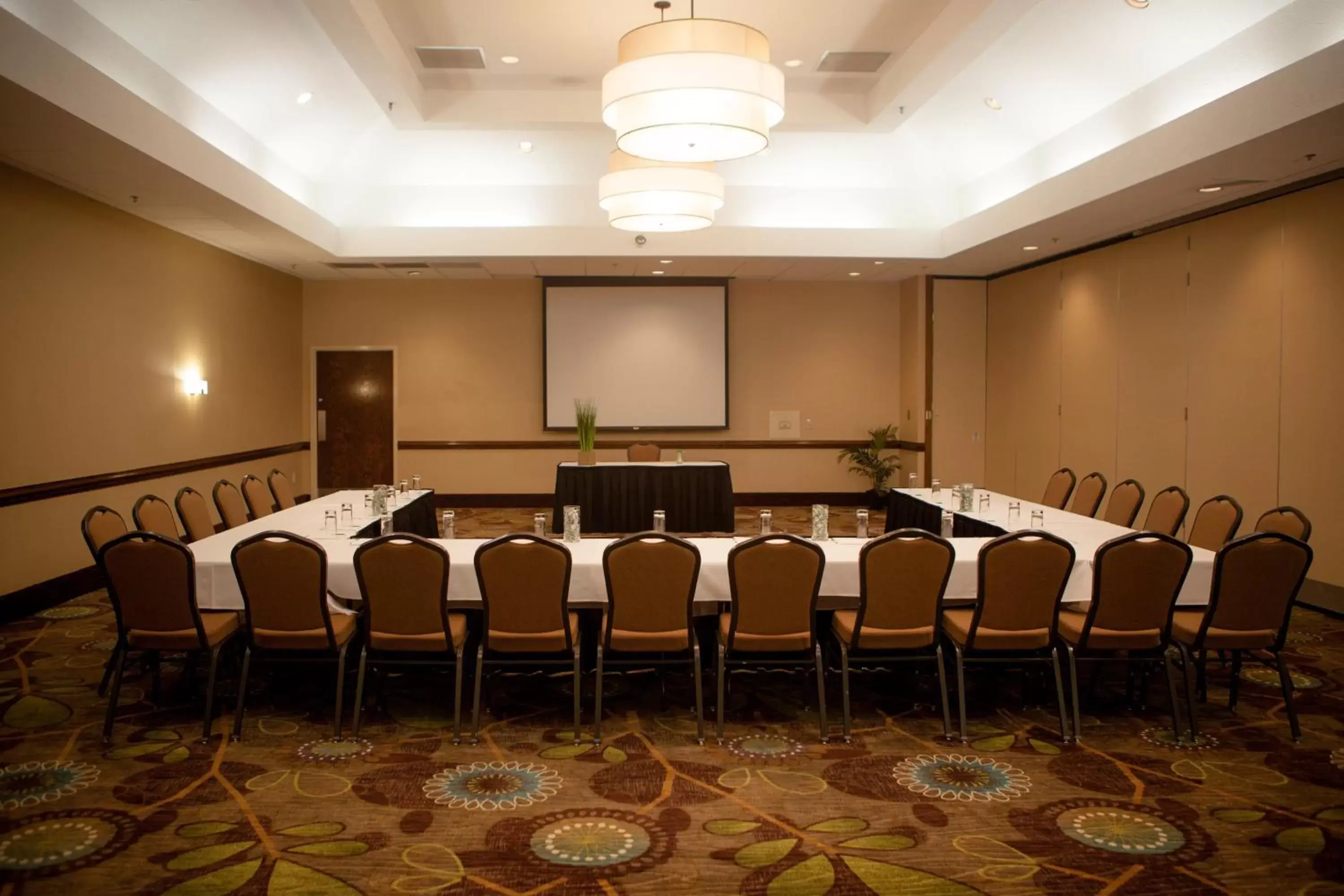 Meeting/conference room in Holiday Inn Greenville, an IHG Hotel