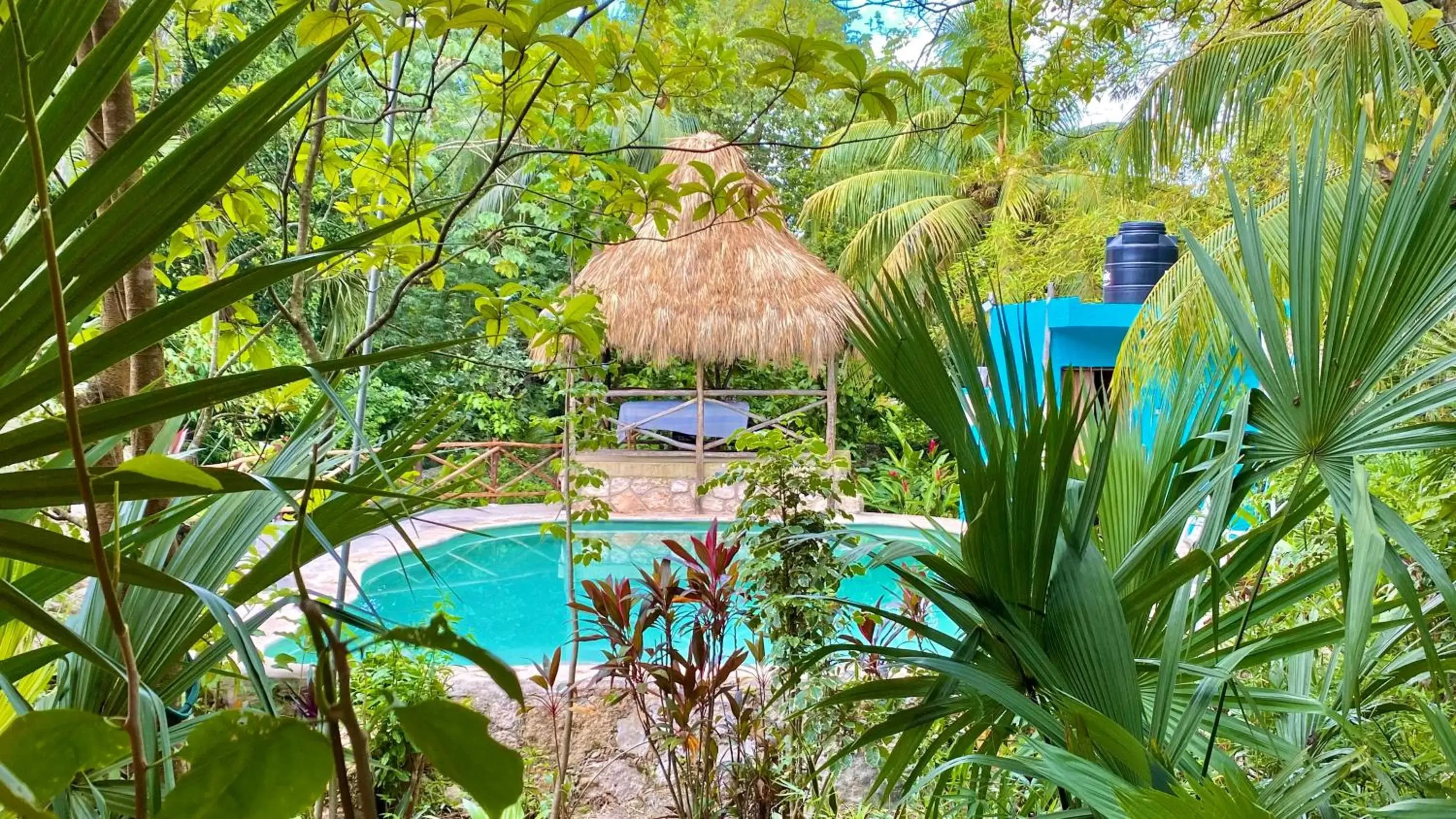 Swimming pool, Pool View in Gardenhotel Macan Ché B&B