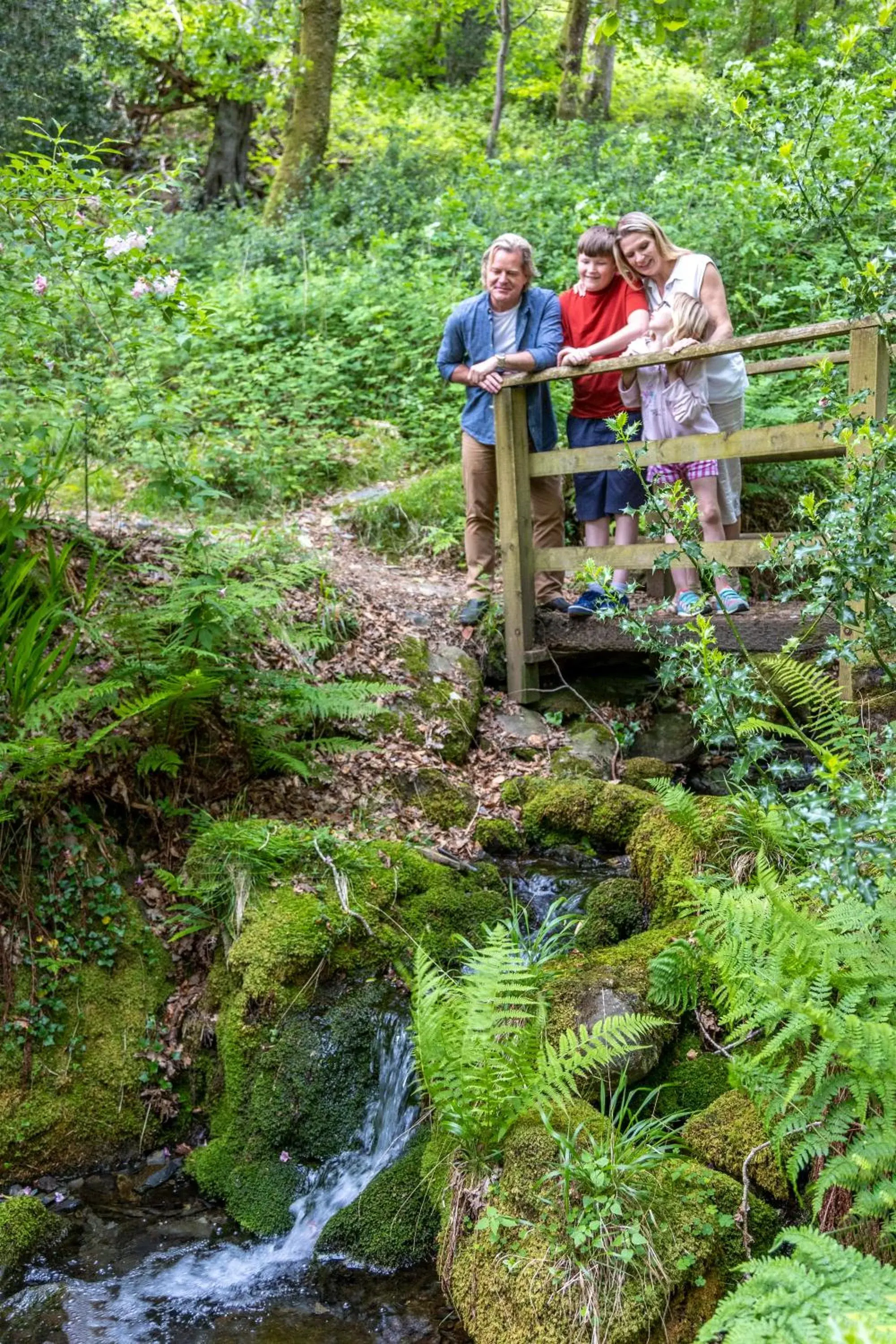 Natural landscape in Aberdunant Hall Country Hotel