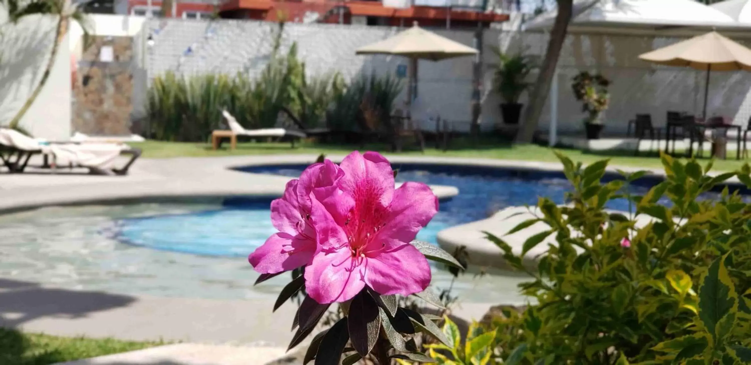 Swimming Pool in Casa Francisco