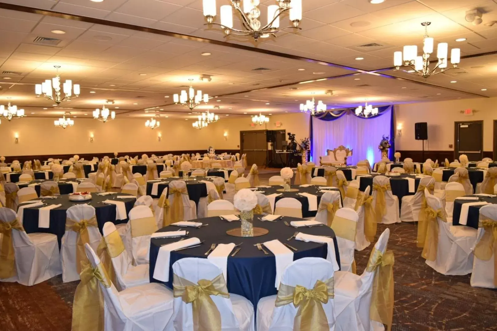 Banquet/Function facilities, Banquet Facilities in Wyndham Garden Ann Arbor