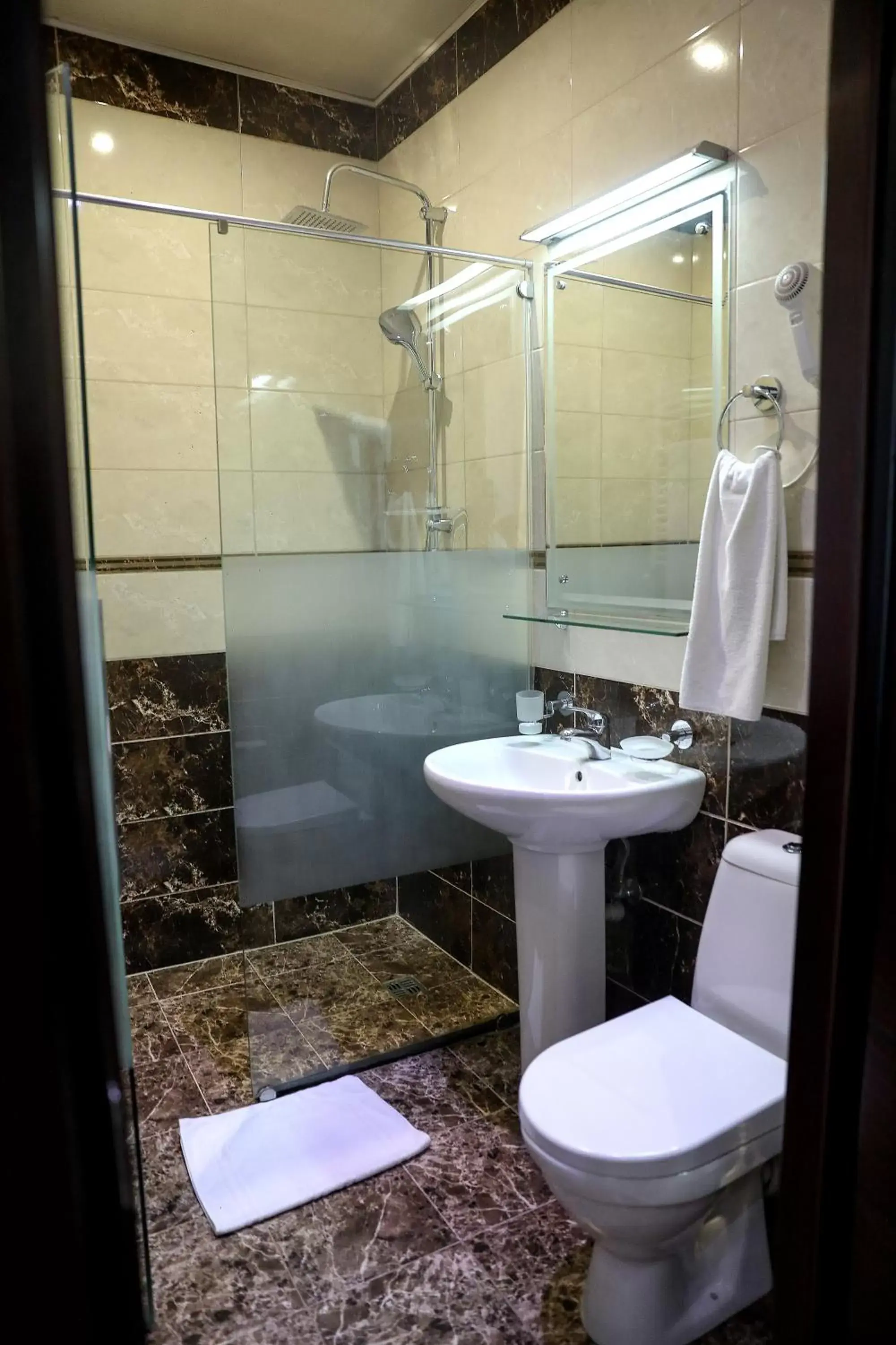 Bathroom in Rustaveli Palace
