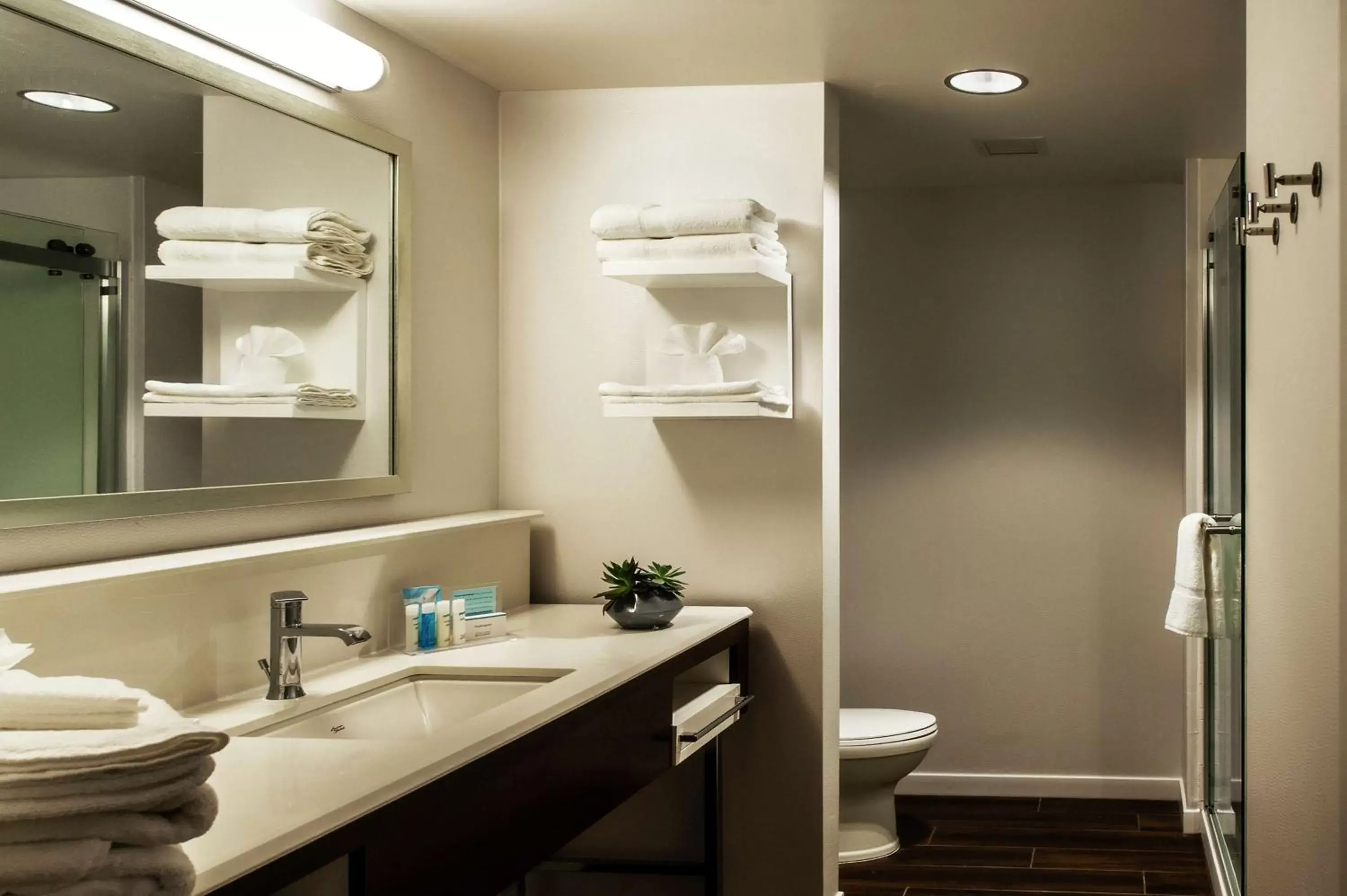 Bathroom in Hampton Inn & Suites/Foxborough/Mansfield