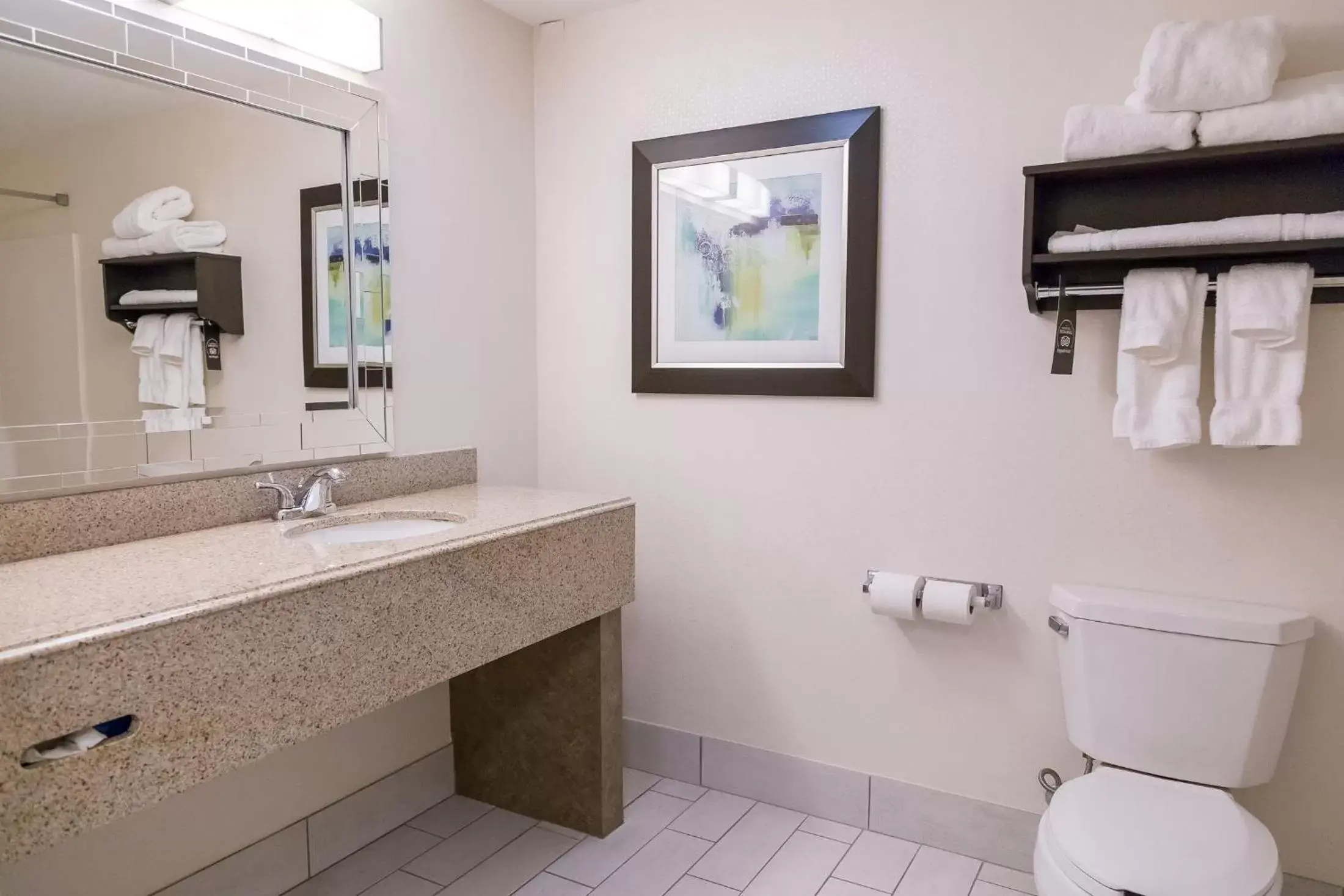 Bathroom in Holiday Inn & Suites Syracuse Airport - Liverpool, an IHG Hotel