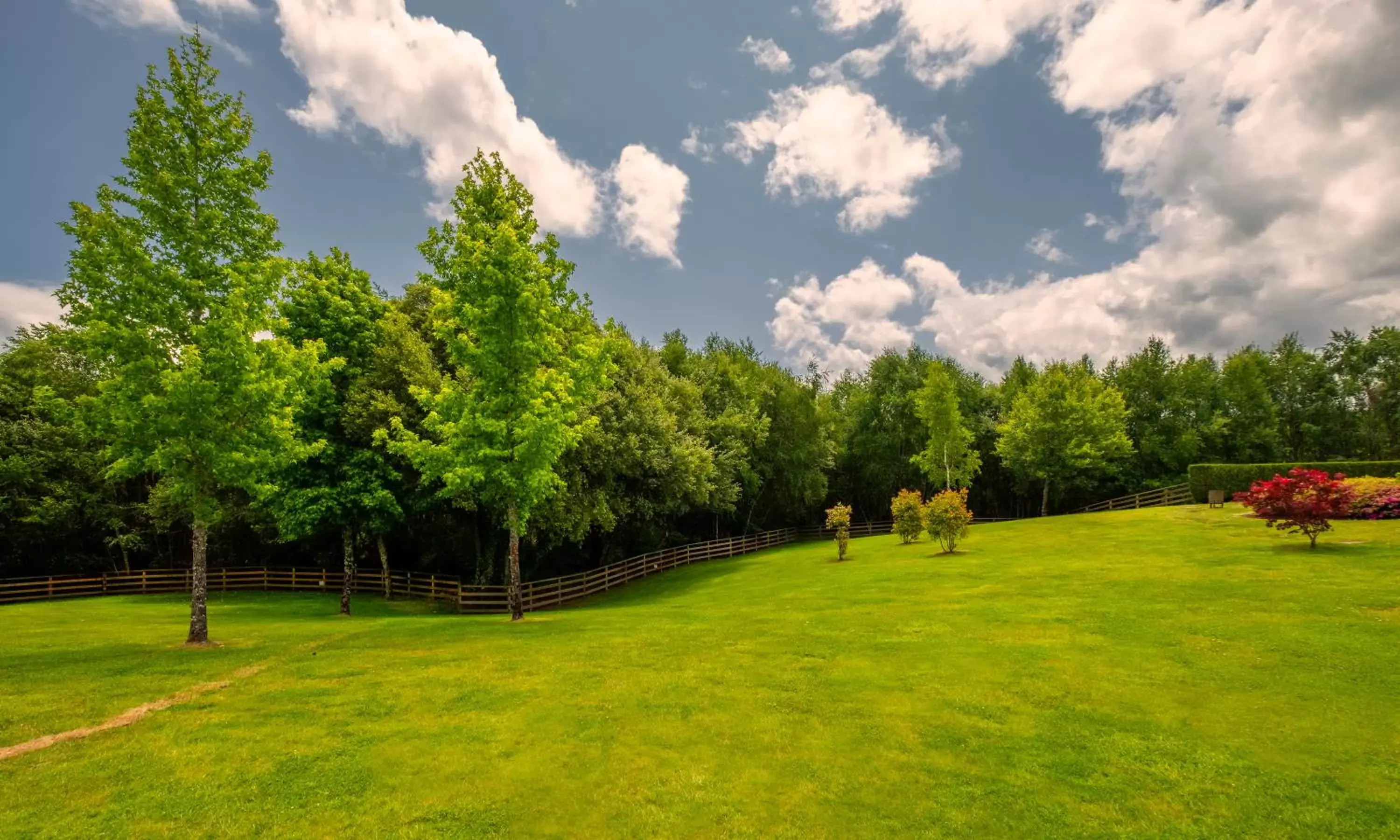 Garden in Hotel Spa Attica21 Villalba