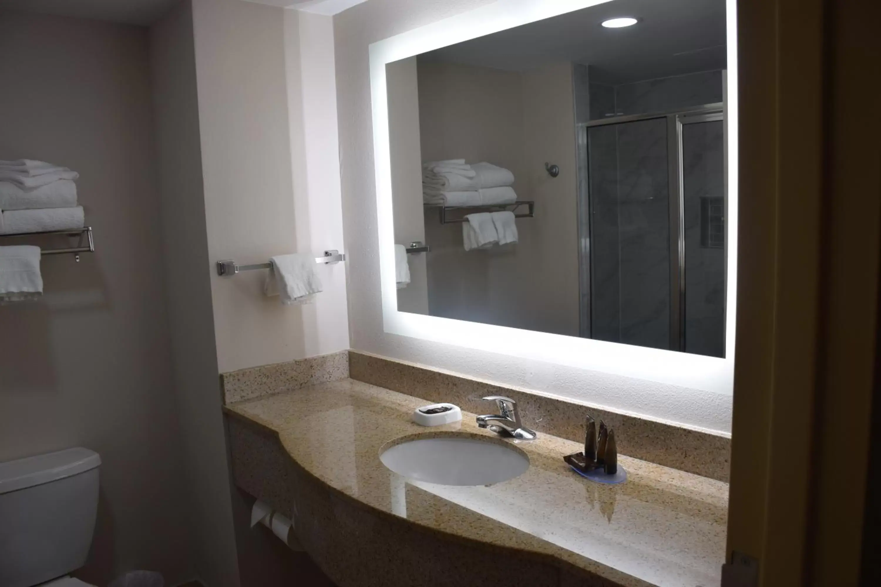 Bathroom in Wingate by Wyndham Baltimore BWI Airport