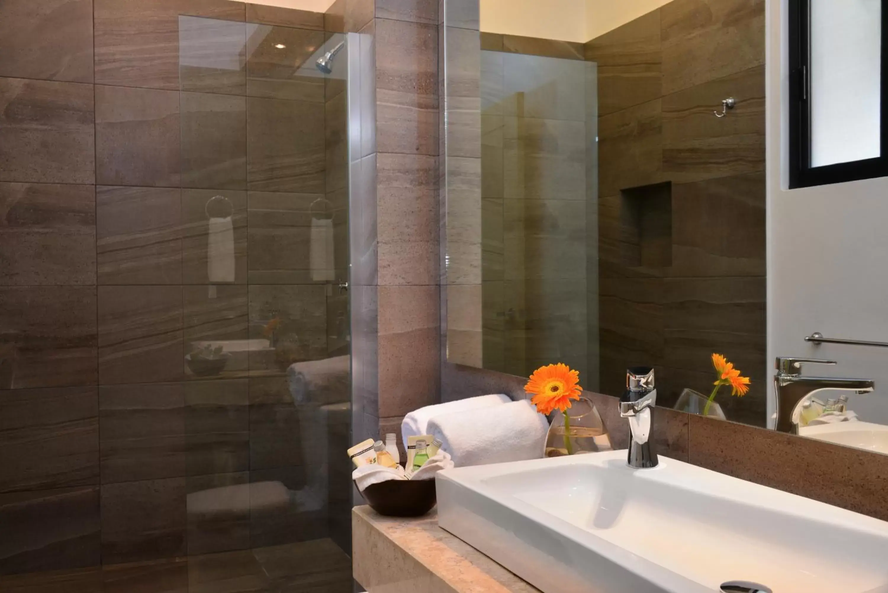 Shower, Bathroom in Elements Tulum Boutique Hotel
