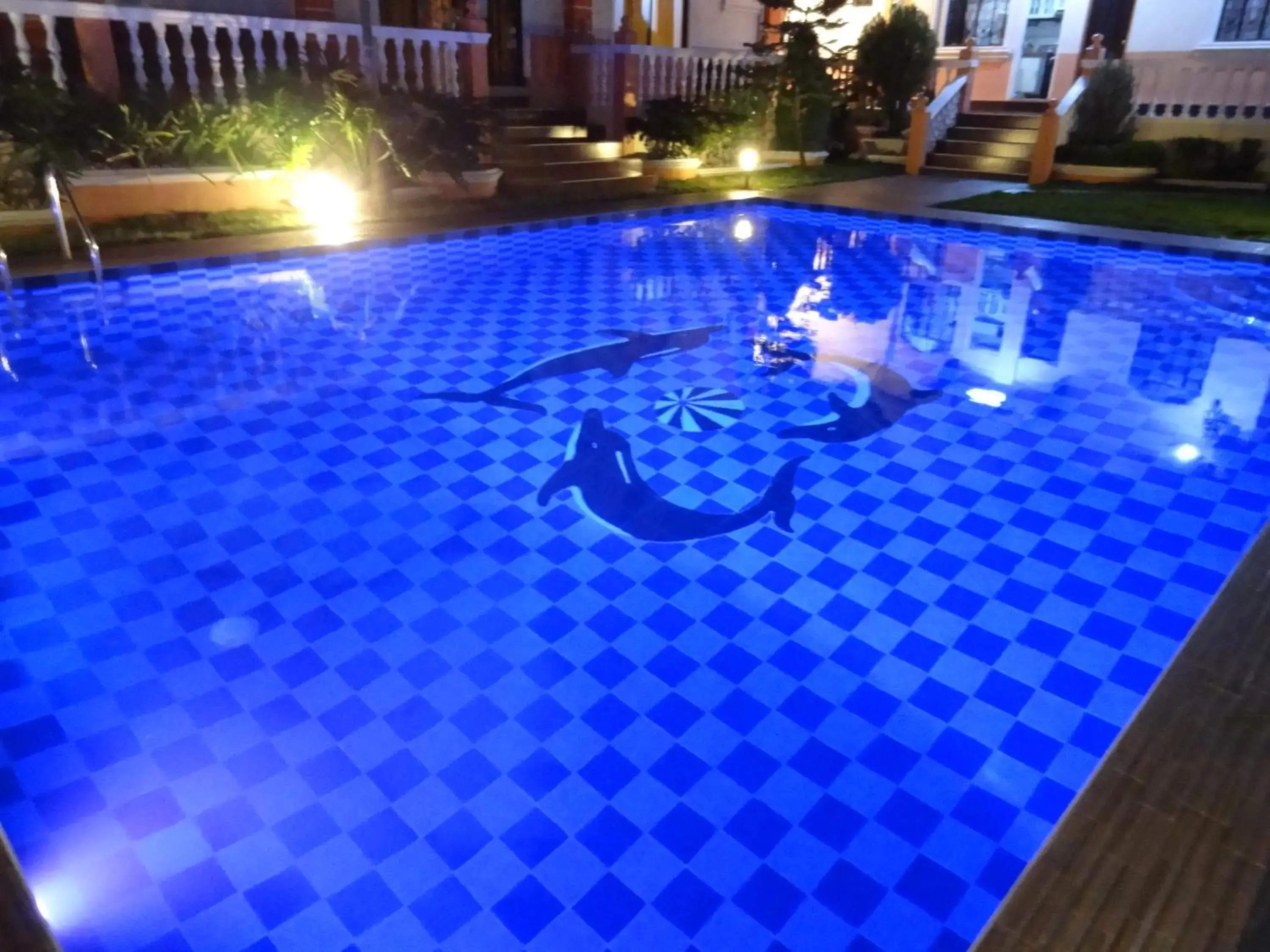 Night, Swimming Pool in The Executive Villa Inn & Suites