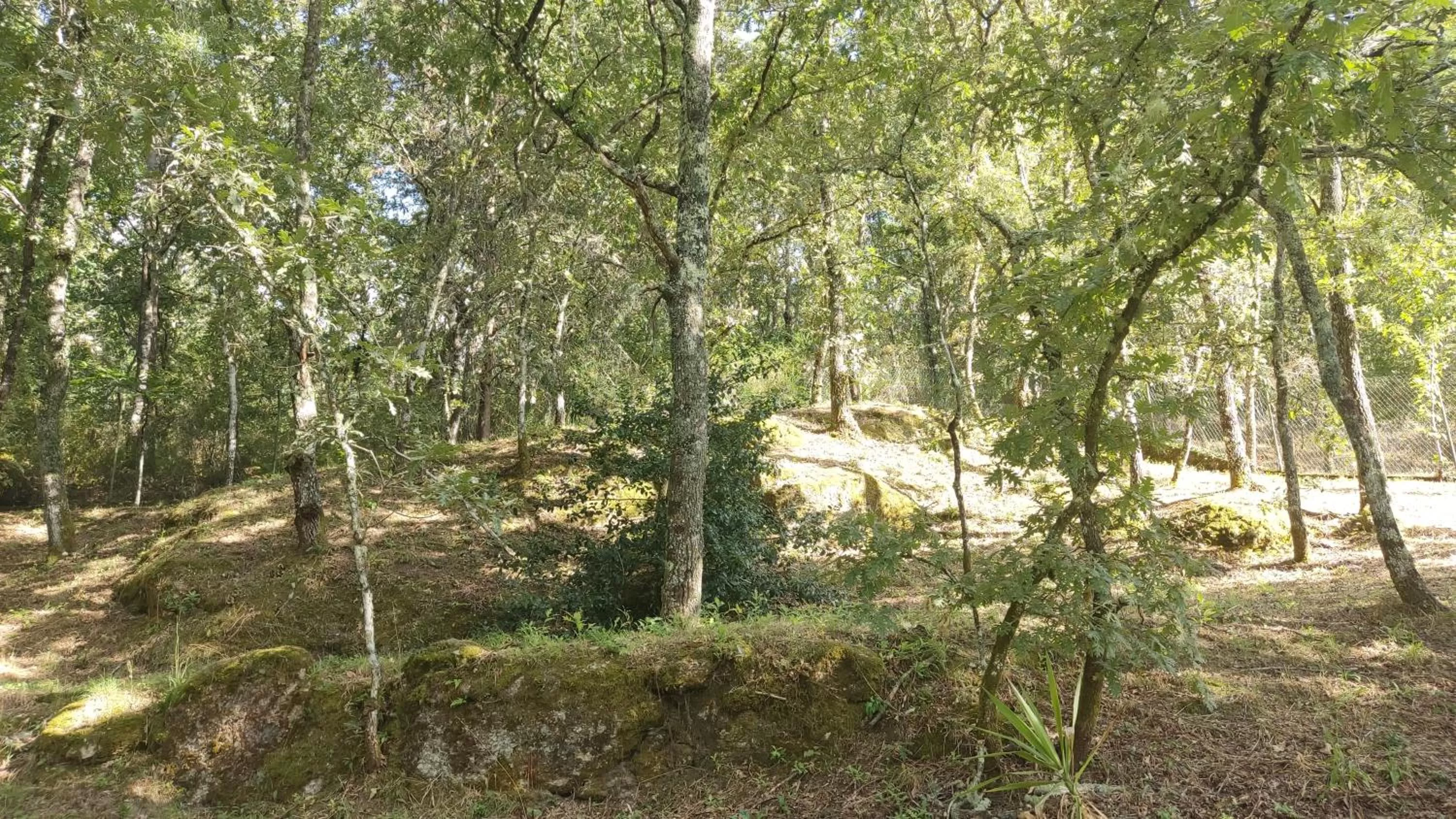 Day in Casa de Apeleiras